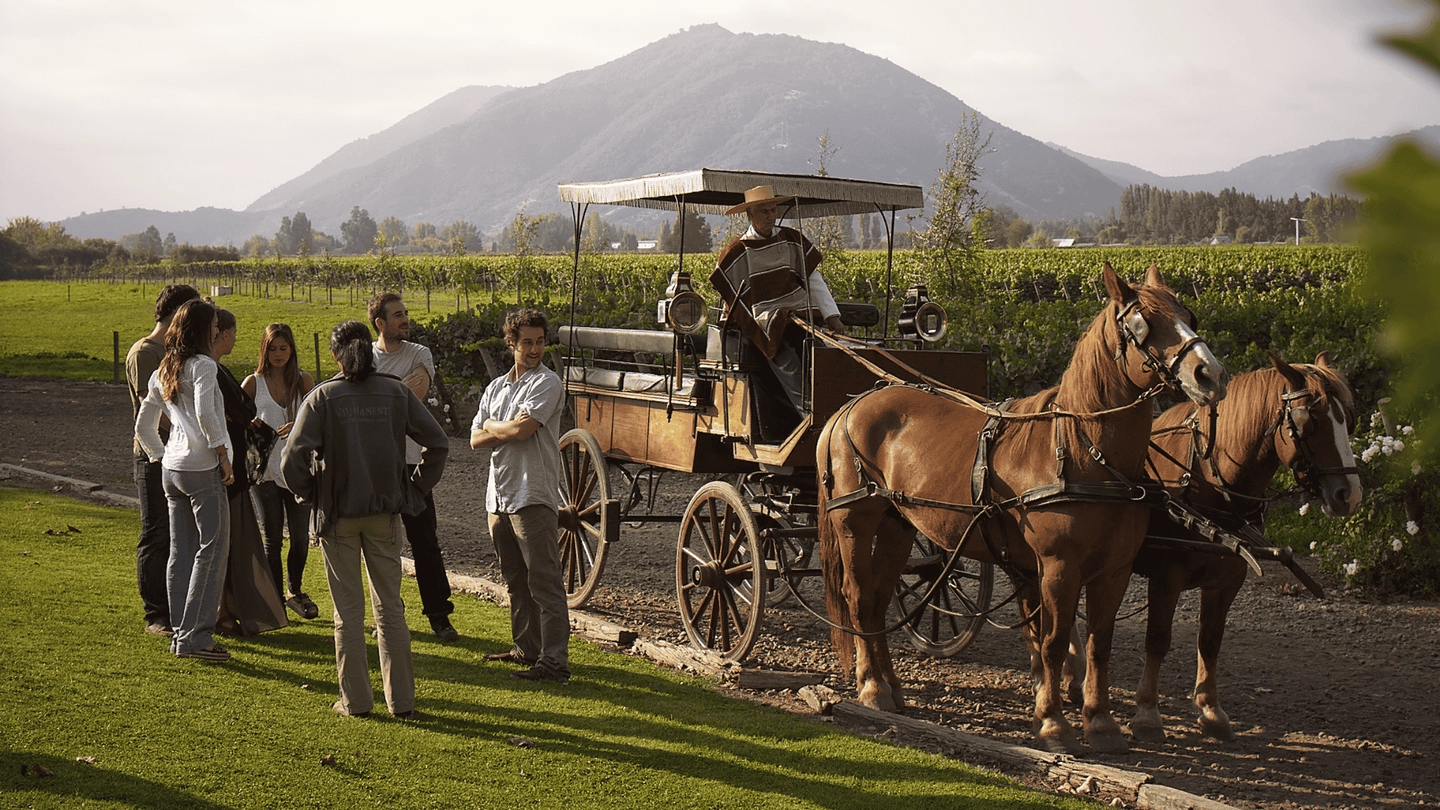 Tour Carruaje a Viñedos