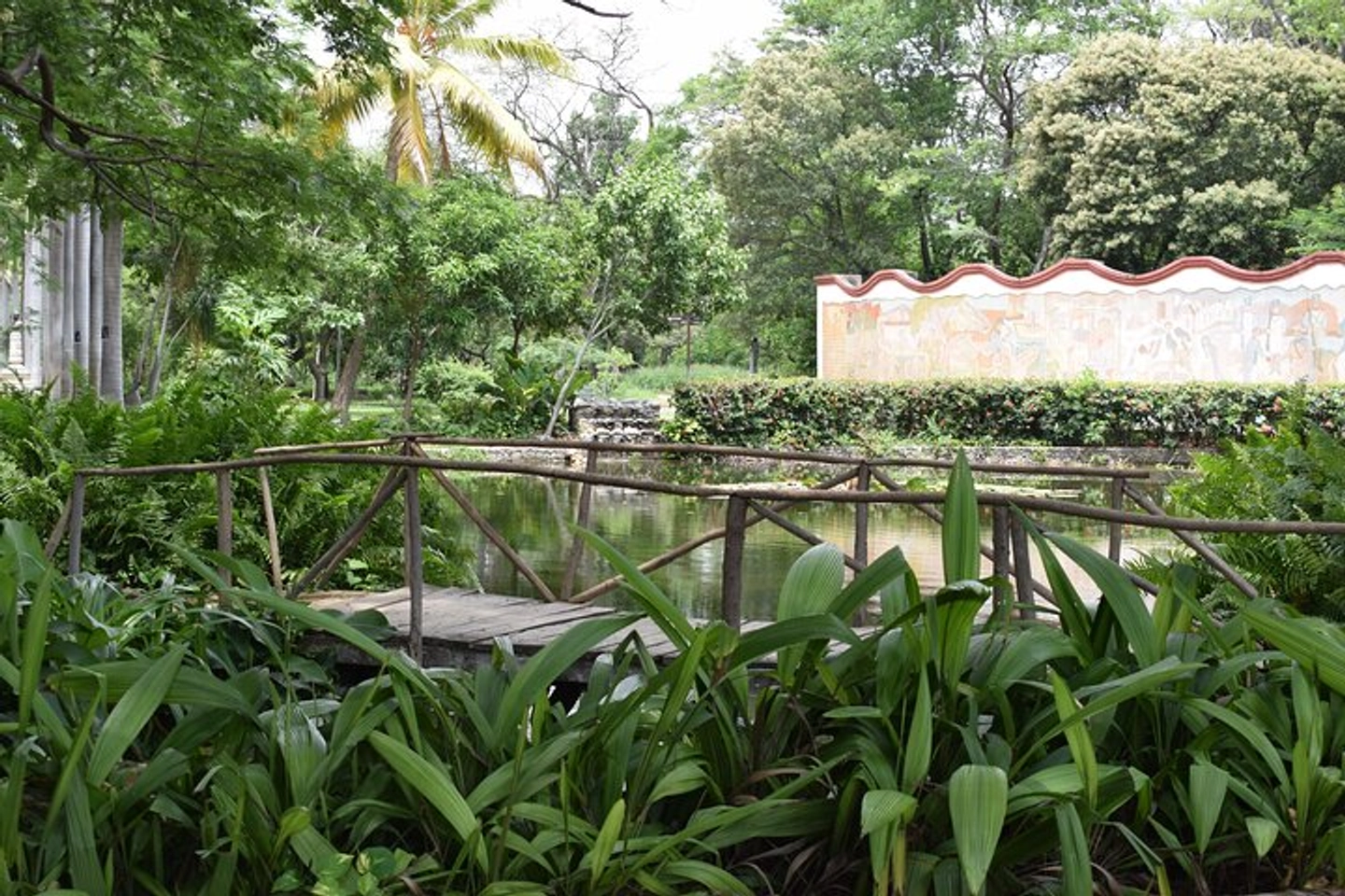 Picture 9
