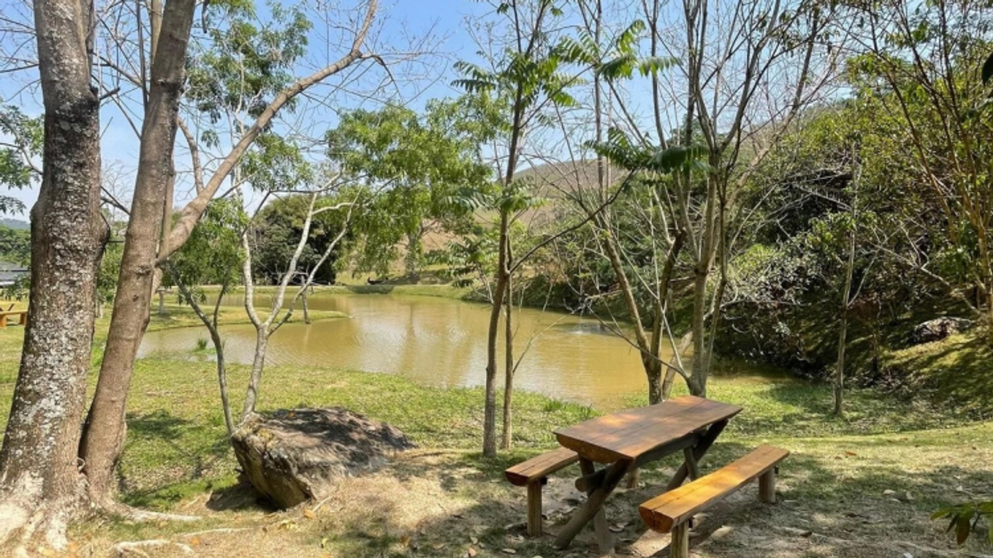 Picture 7