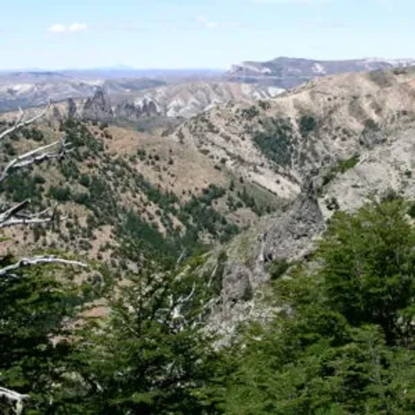 Picture 1