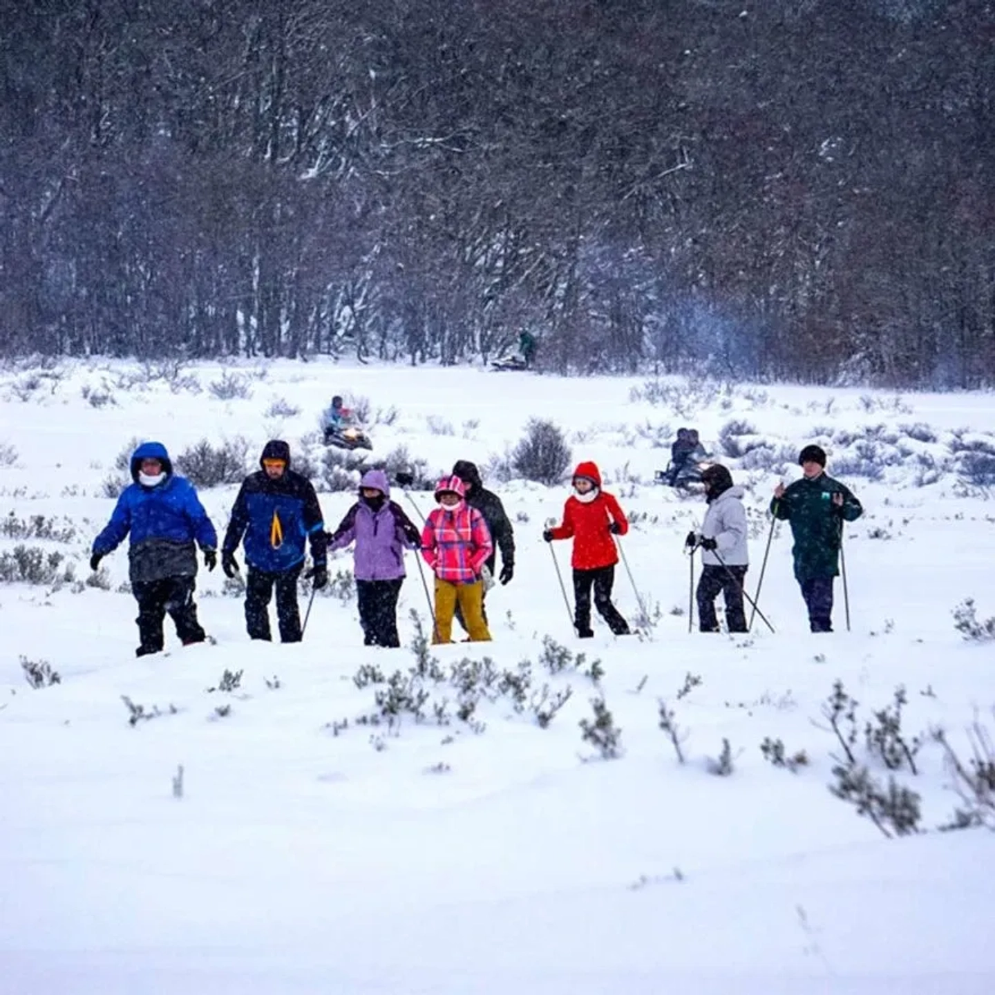 Clase de Ski de Fondo para 1 en Llanos del Castor