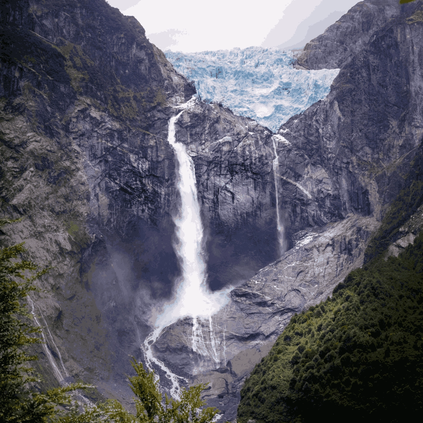 Tour Queulat-Puyuhuapi: Bosques, Fiordos y Tradición Patagónica
