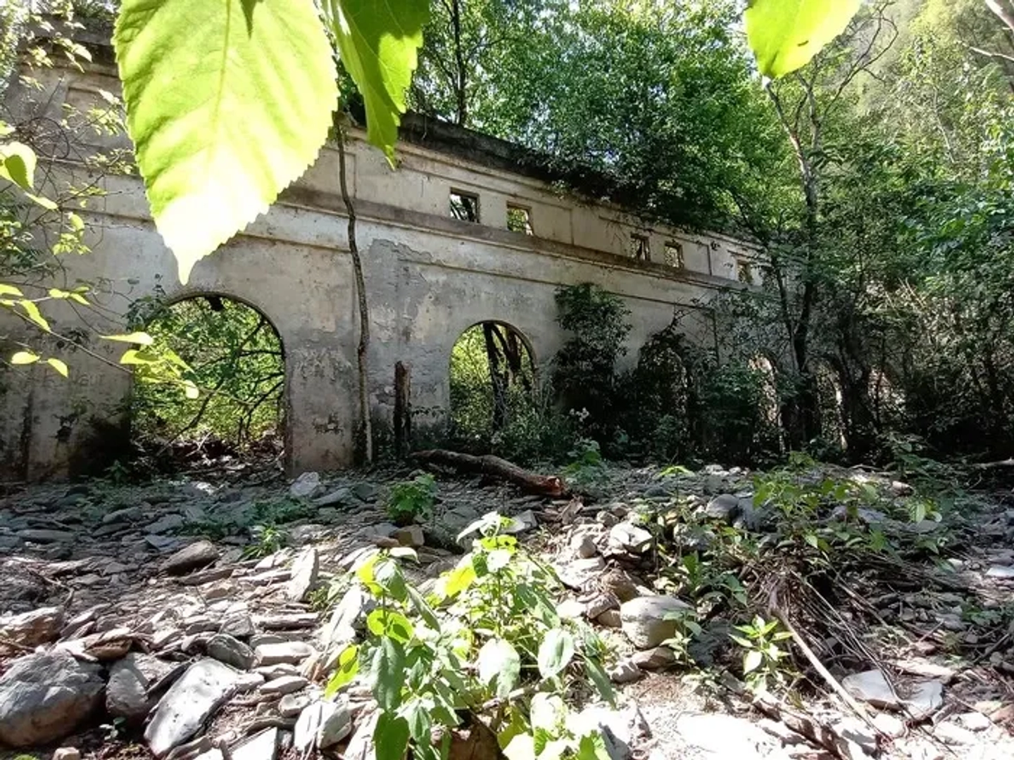 Picture 7