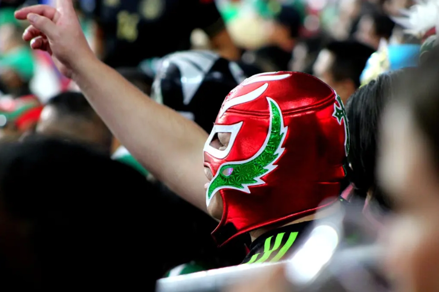 Experiencia lucha libre desde la ciudad de méxico