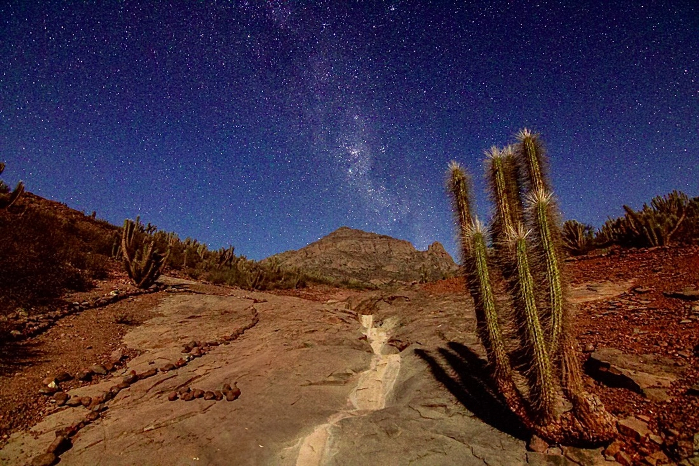 Tour al Valle de Estrellas: Historia, Naturaleza y Observación del Cosmos