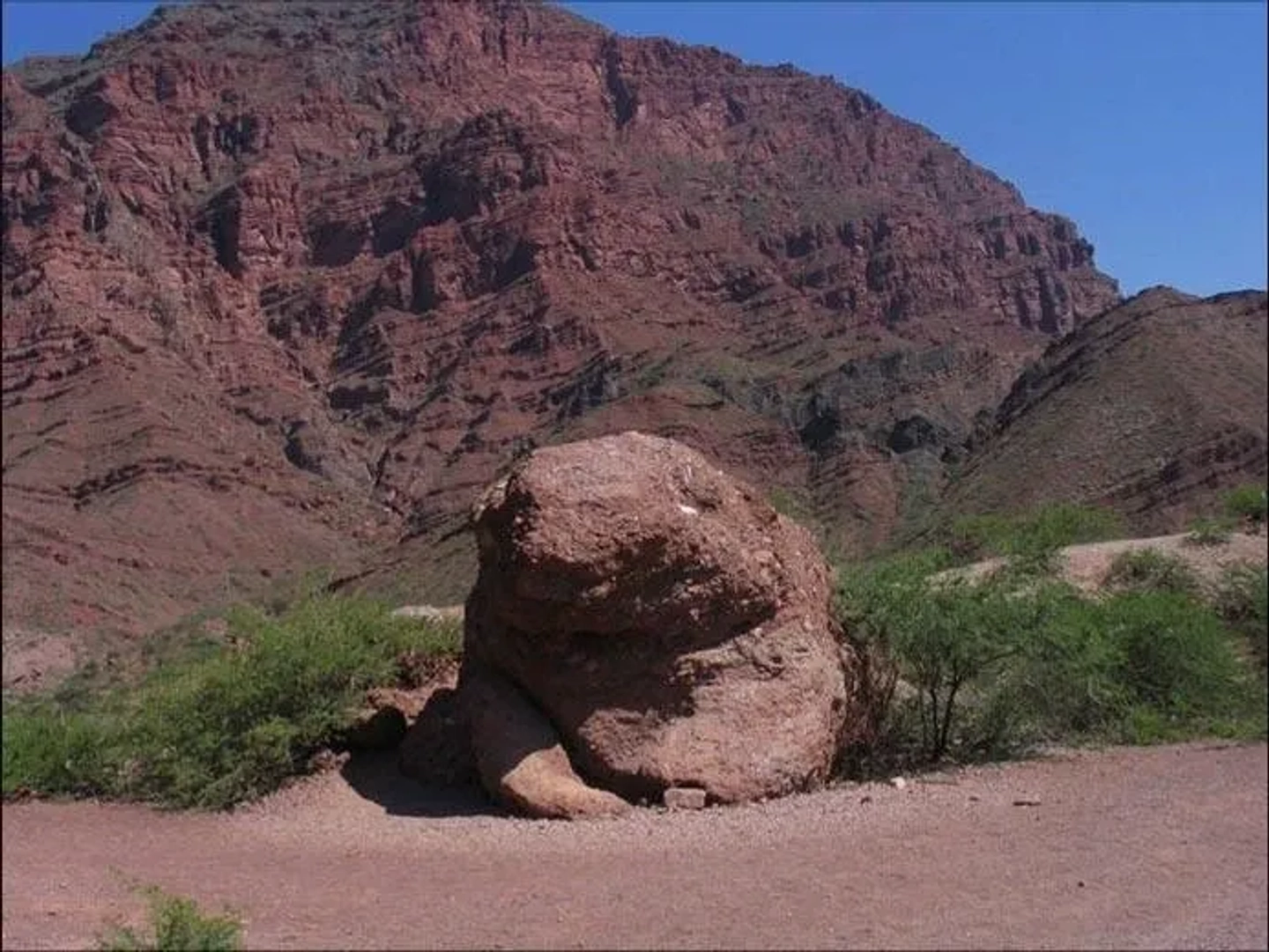 Picture 5