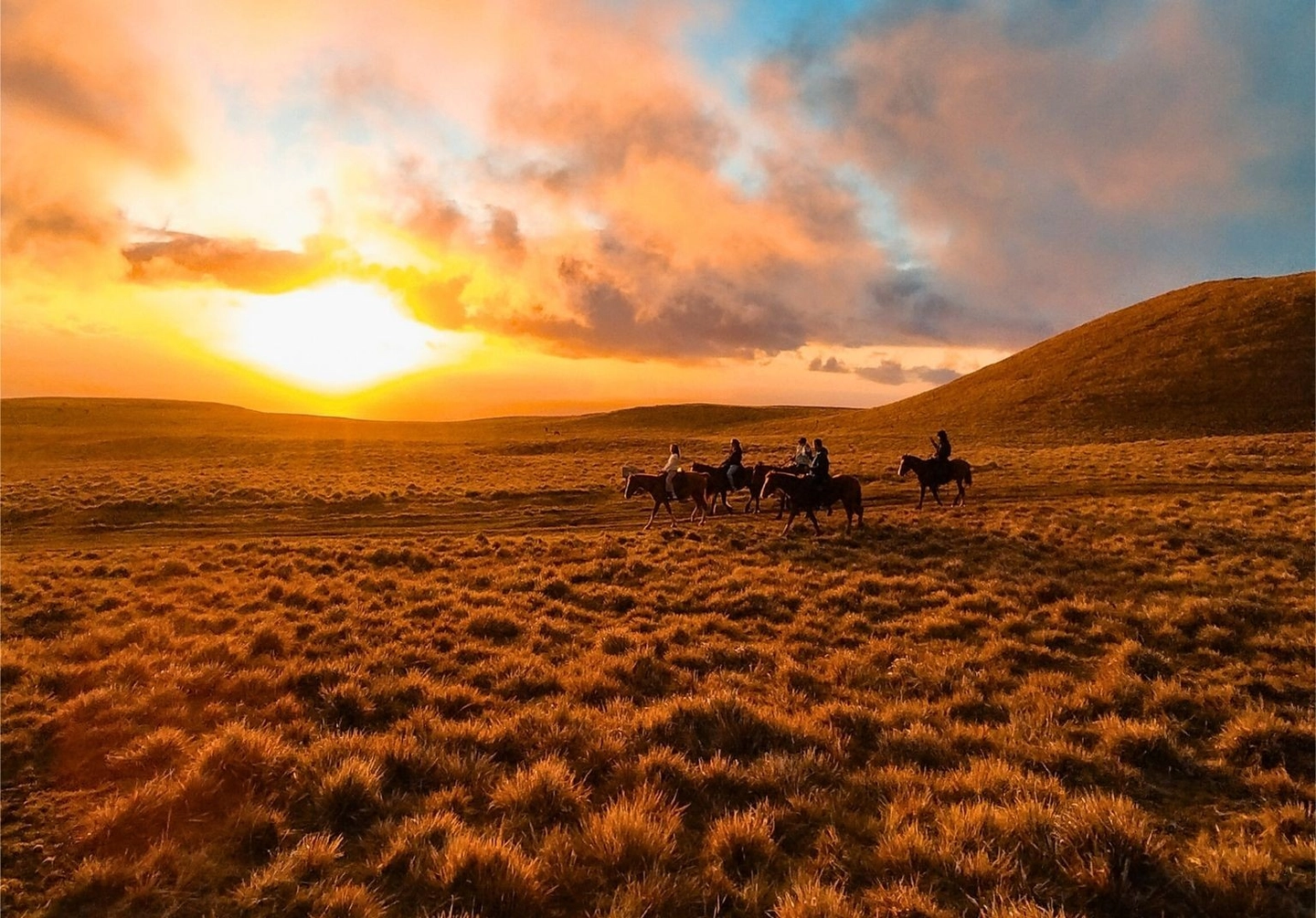 Aprende a Cabalgar al Atardecer en Terevaka, Rapa Nui