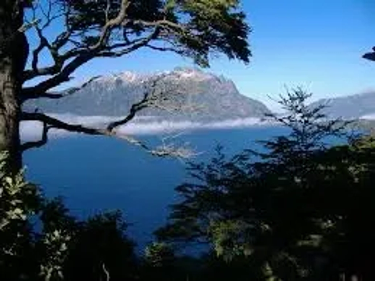 Excursión Paimun, Volcán Lanin y Lago Huechulafquen