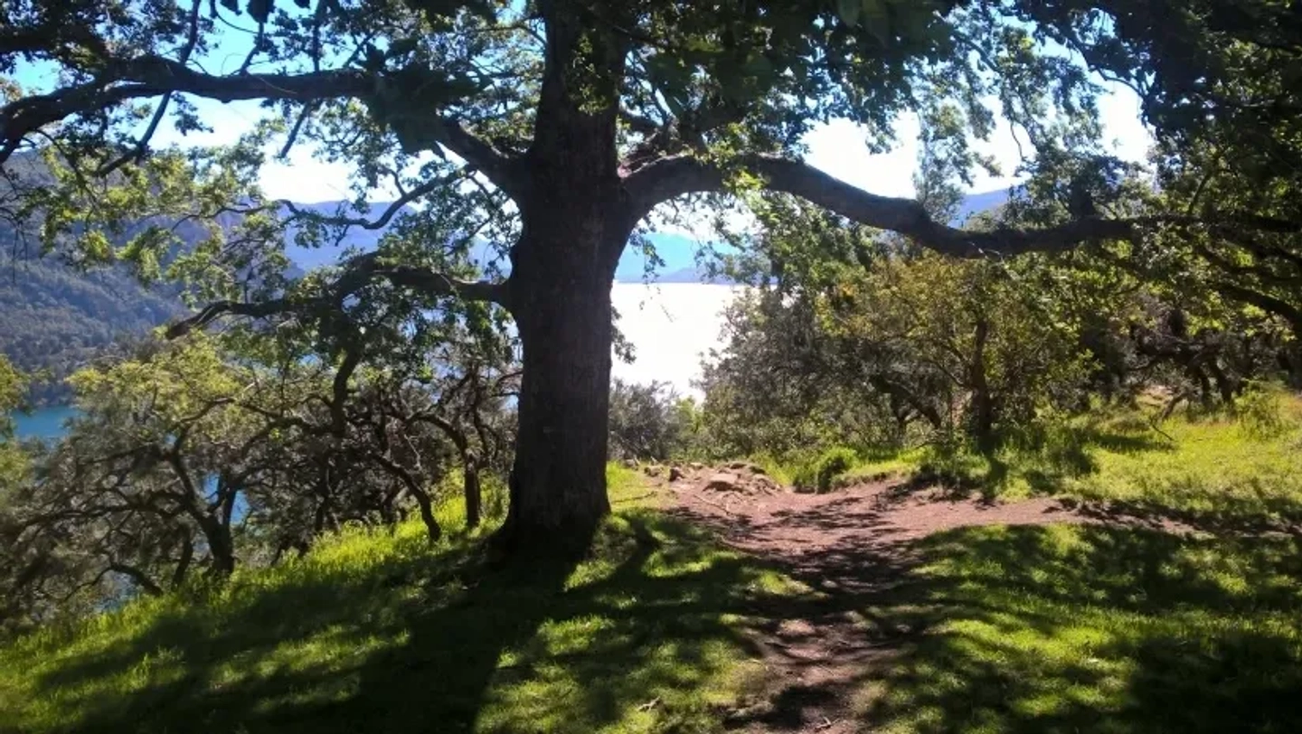 Picture 8