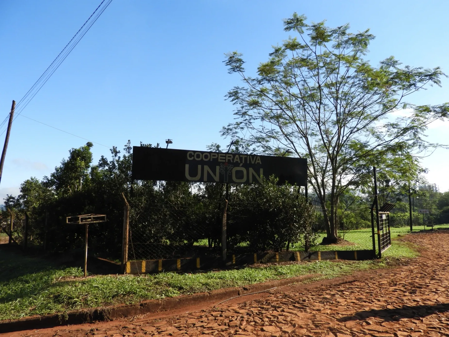 Picture 6