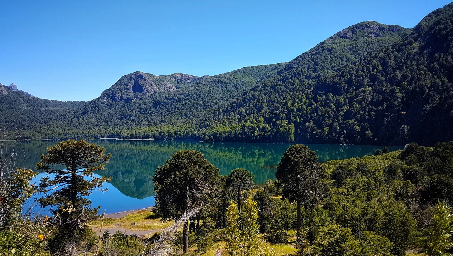 PARQUE NACIONAL VILLARRICA NORTE