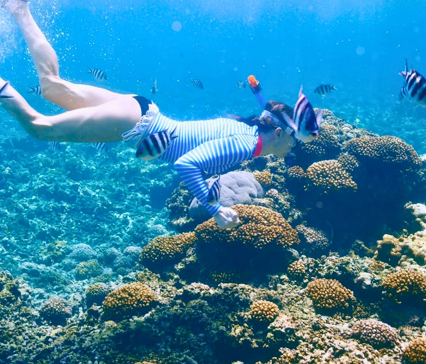Islas del Rosario (Cartagena): Excursión Eco - 3 Clubs de Playa, Oceanario, Mini Zoo, Almuerzo, y Snorkel
