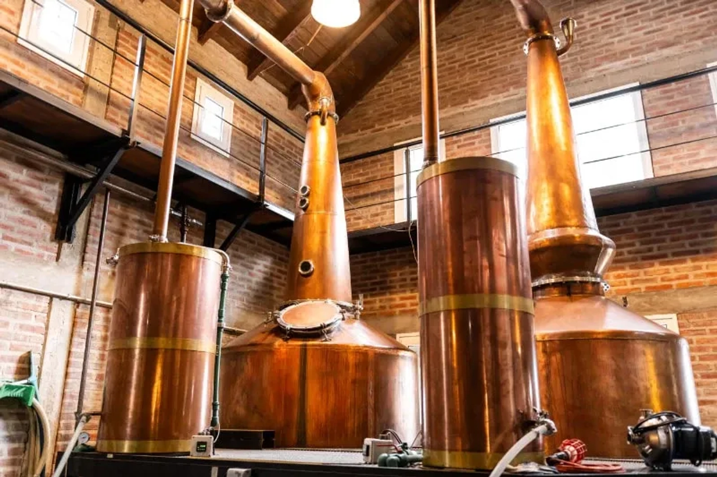 Destilados Patagónicos: Vermut, Whisky y Gin