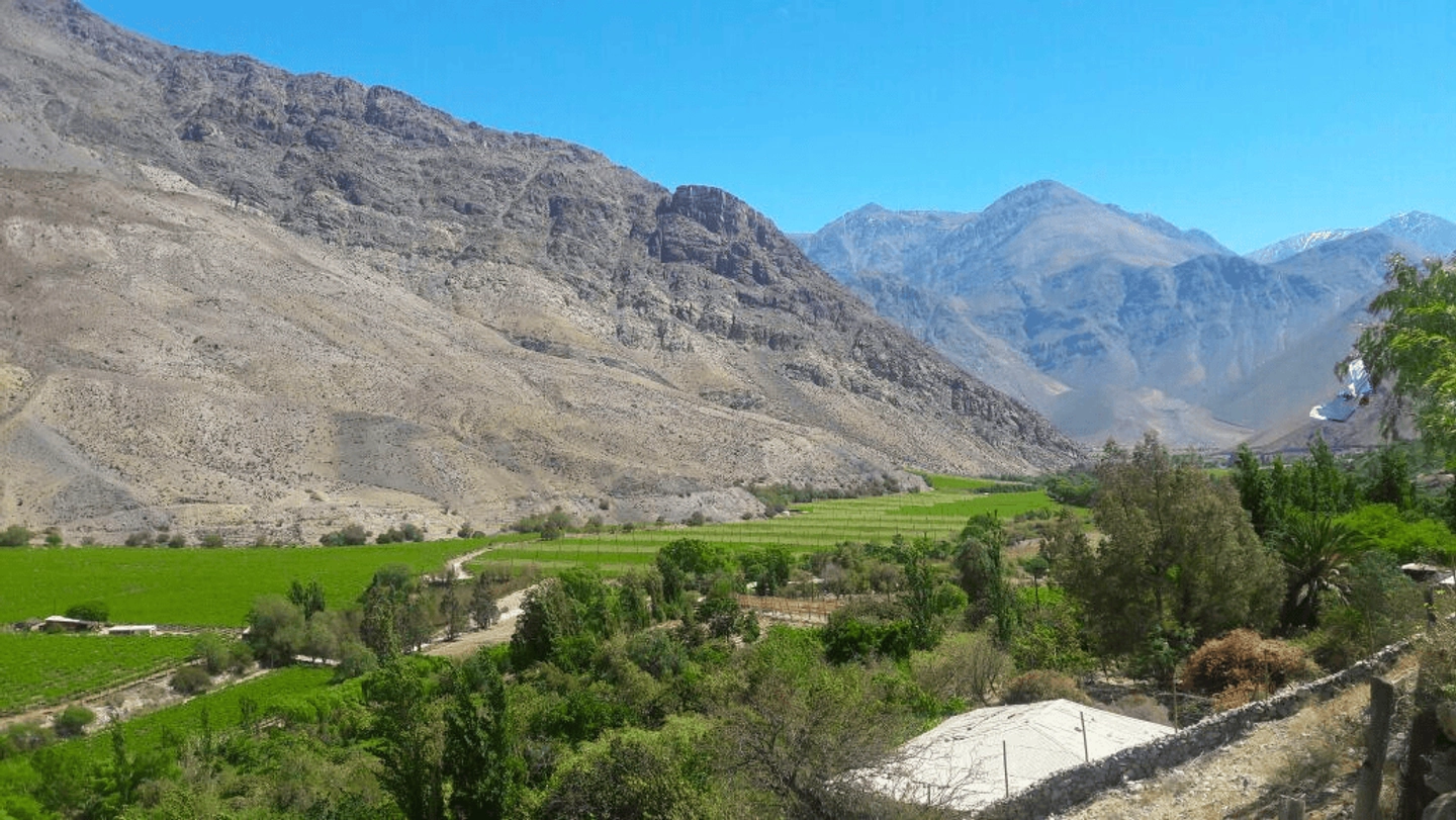 Valle del Elqui: Cultura, Pisco y Naturaleza