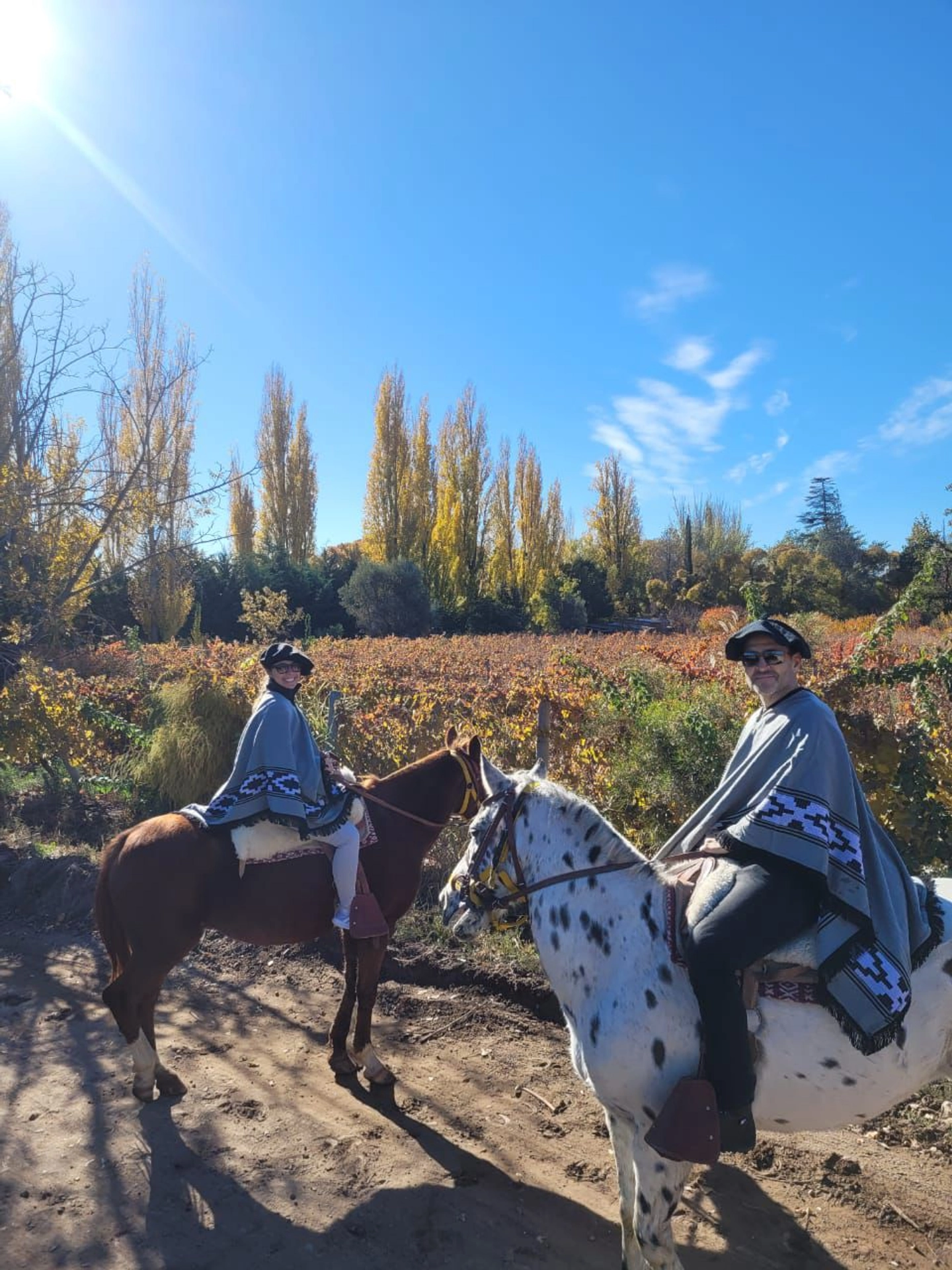 Cabalgata entre viñedos (con asado y degustación)