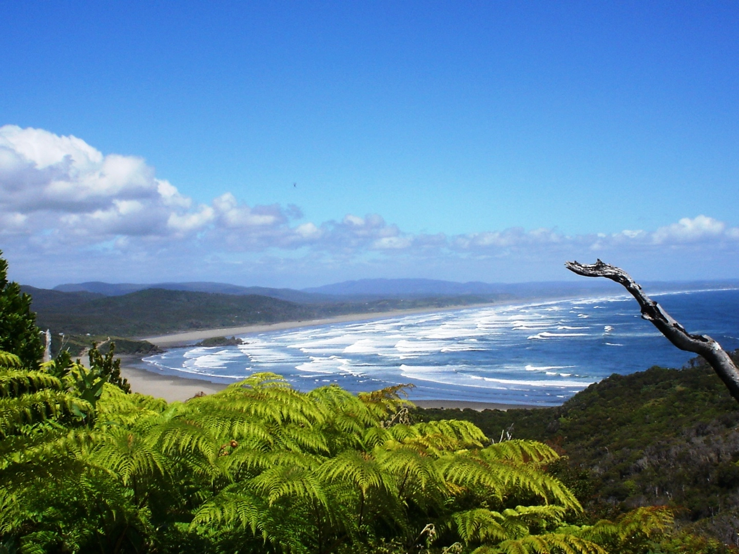 PARQUE NACIONAL CHILOÉ