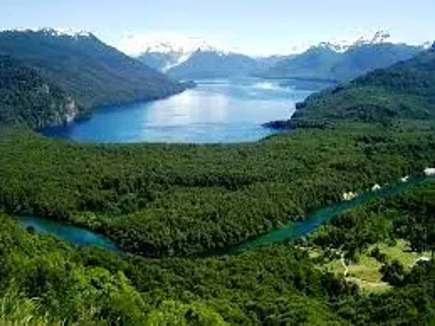Excursión al Parque Nacional Los Alerces Full Day
