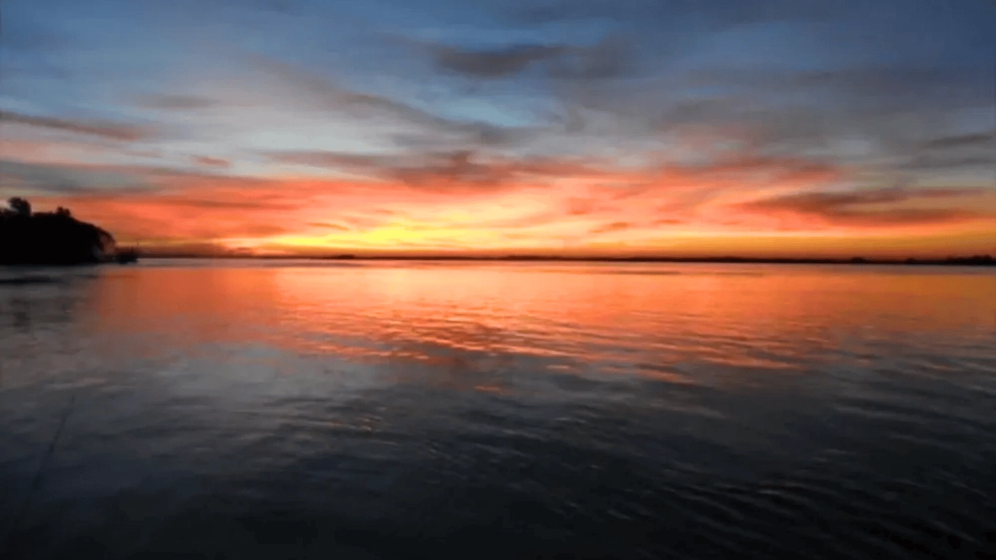 Paseo en lancha Río Paraná e Isla del Cerrito