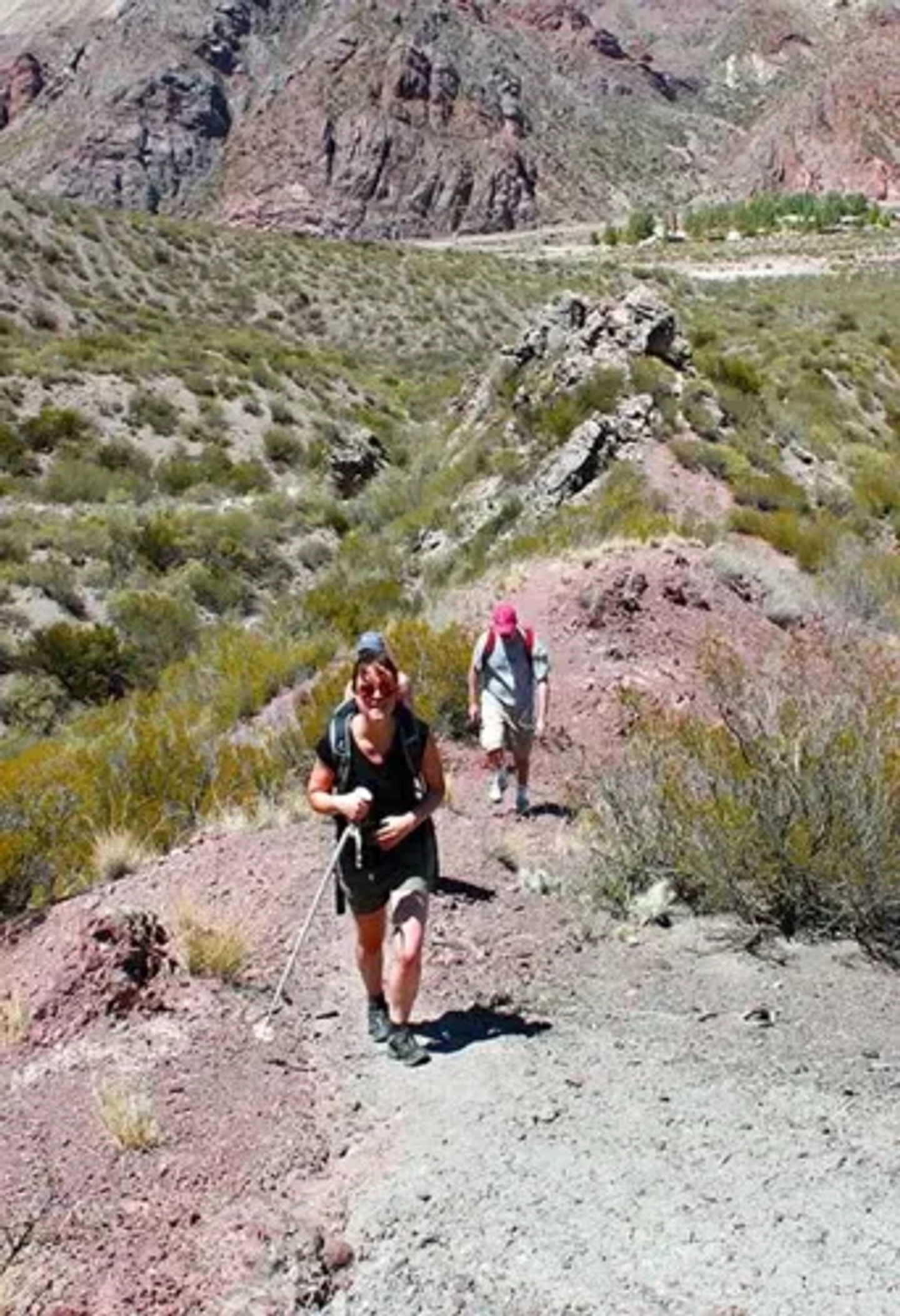 Picture 3