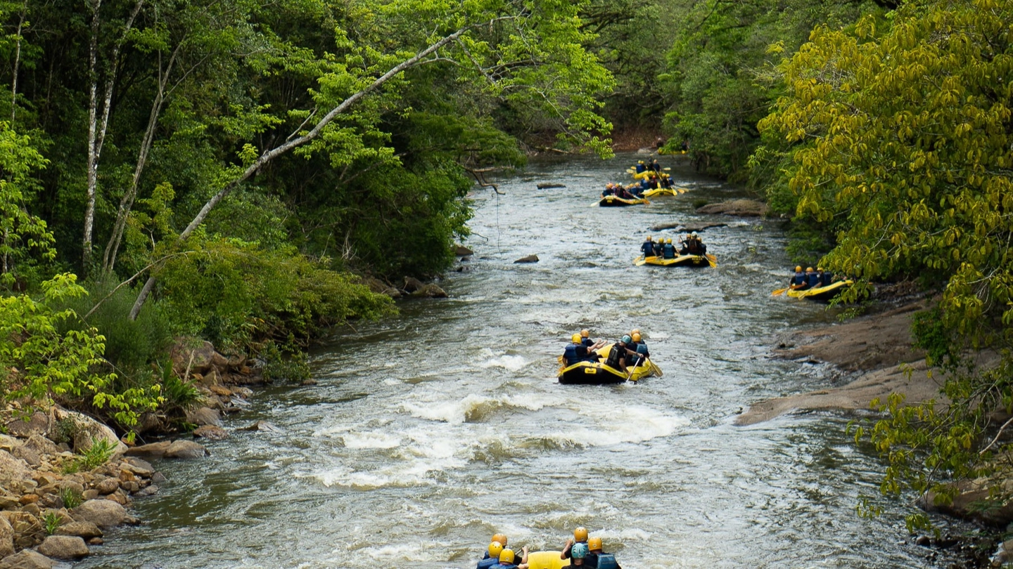 Picture 1