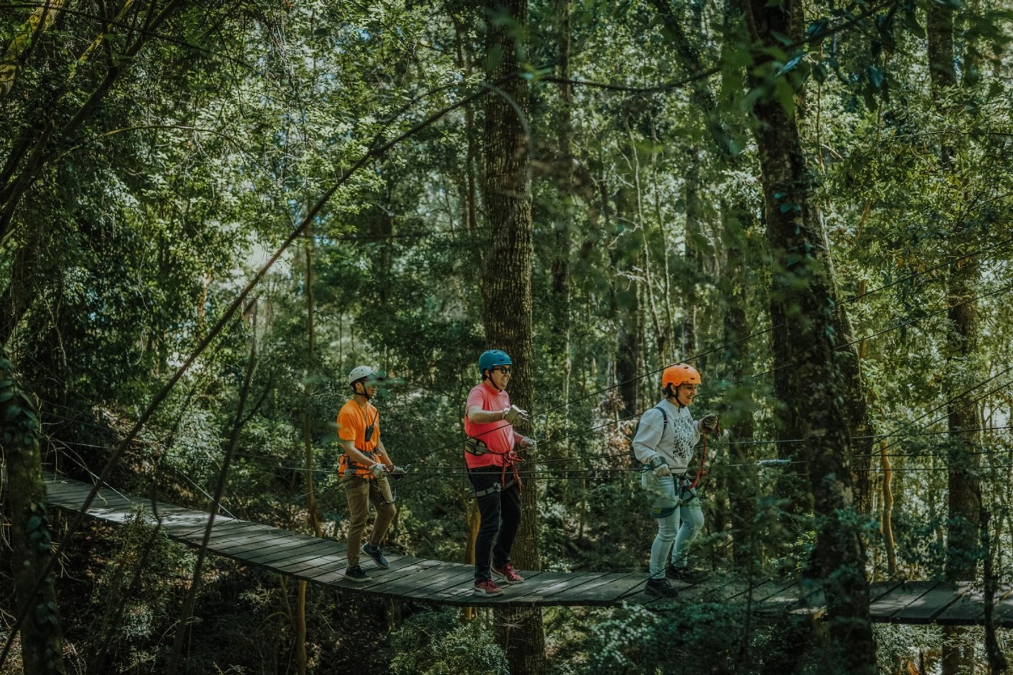 Canopy de 2Km: Vive la Aventura y Adrenalina en las Alturas del Lago Llanquihue