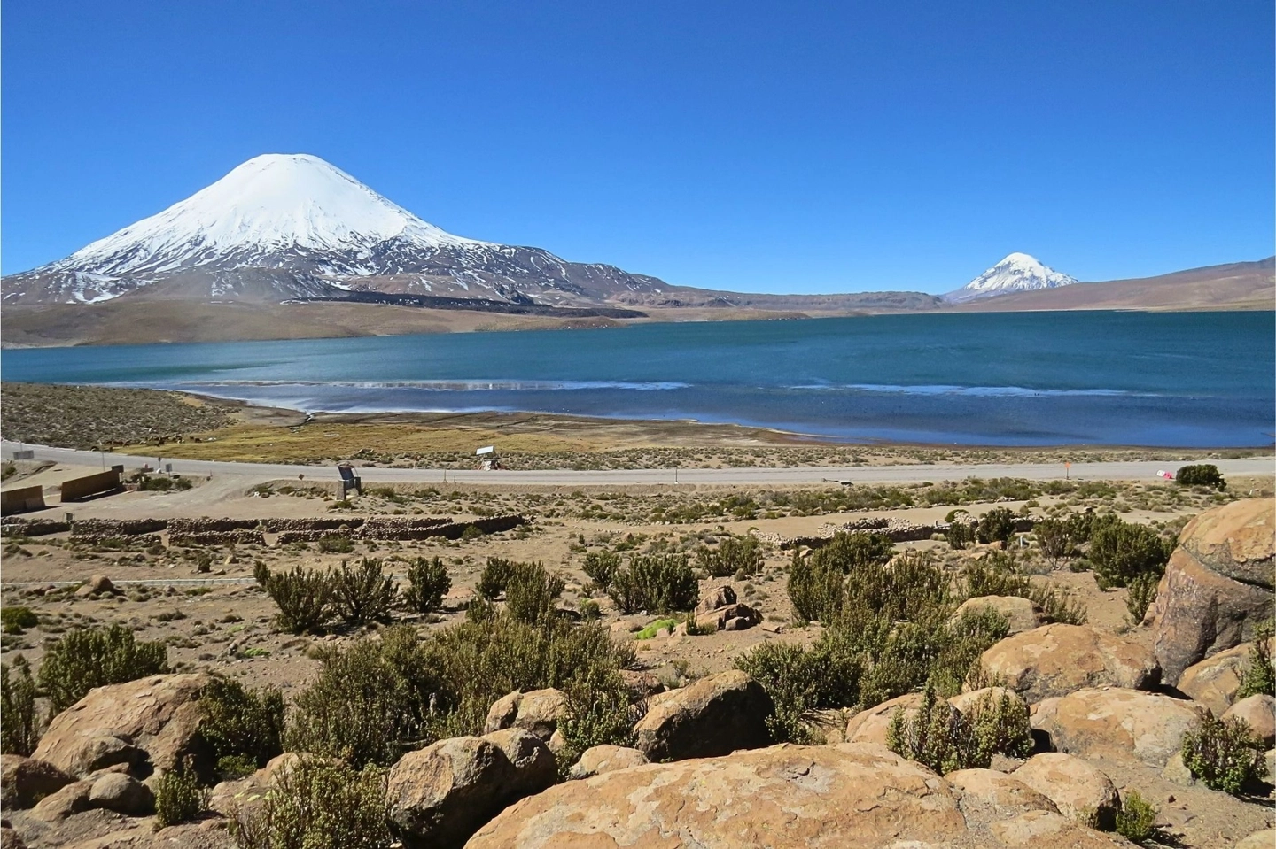 Tour Full Day a Parque Nacional Lauca desde Putre