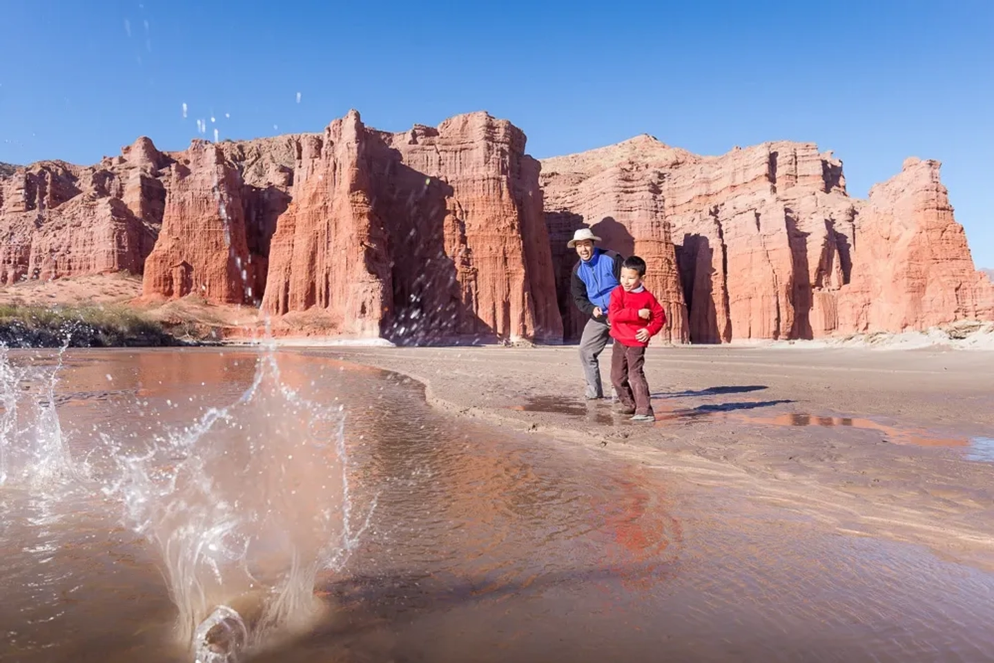 Excursión a Cafayate con visita a Bodega
