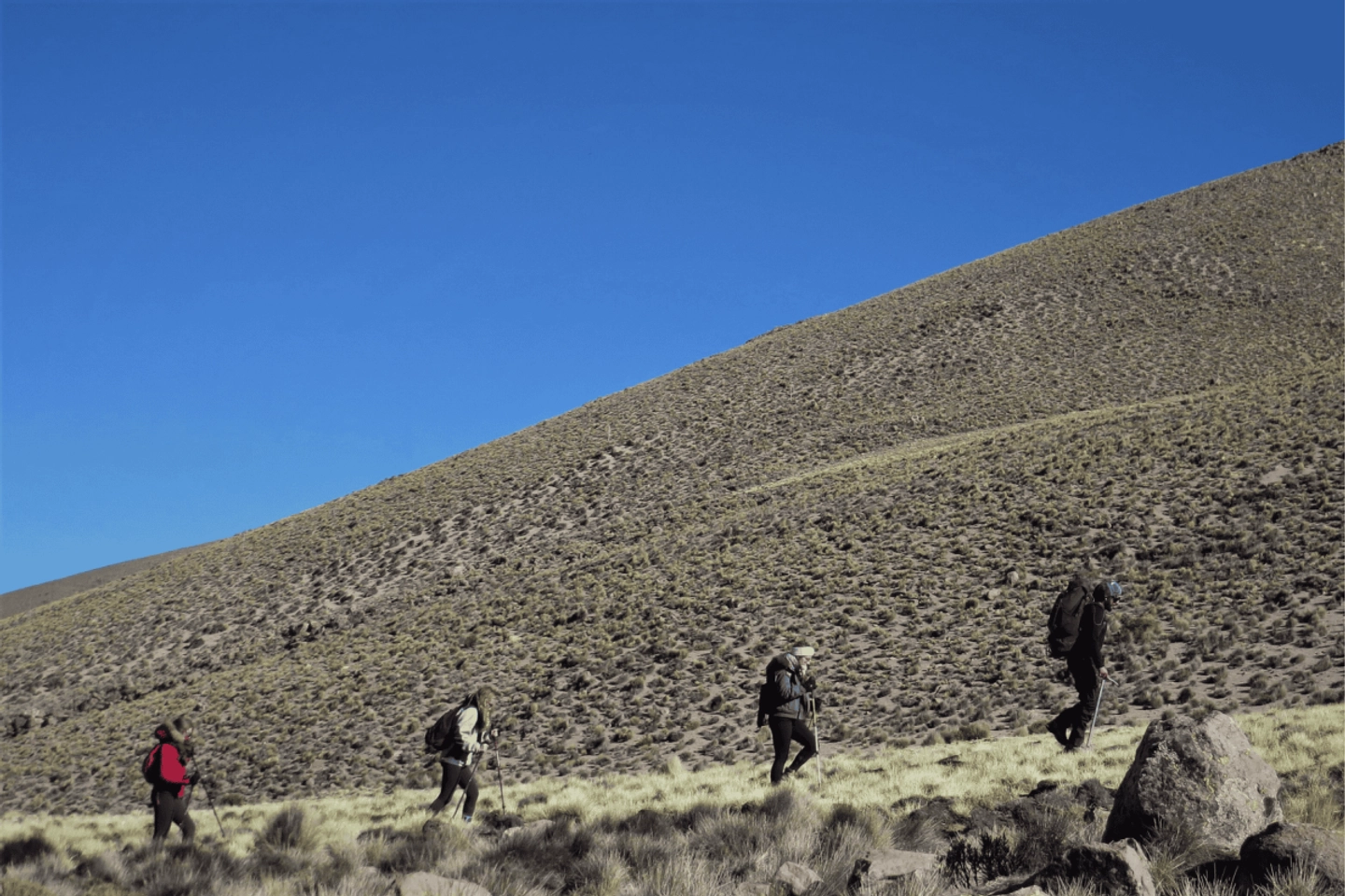 Trekking a las Alturas Sagradas: Cerro Guane Guane en Putre