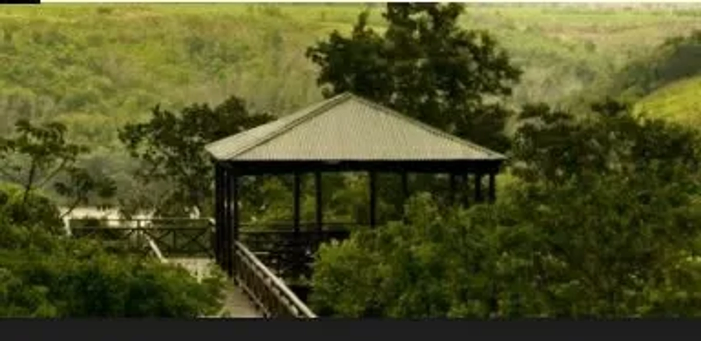 Picture 1