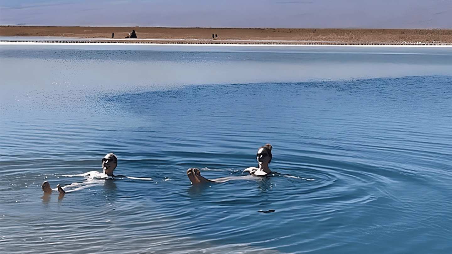 Picture 6