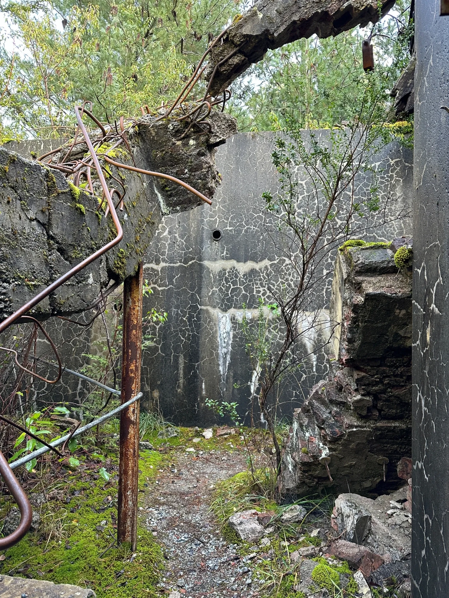 Picture 5