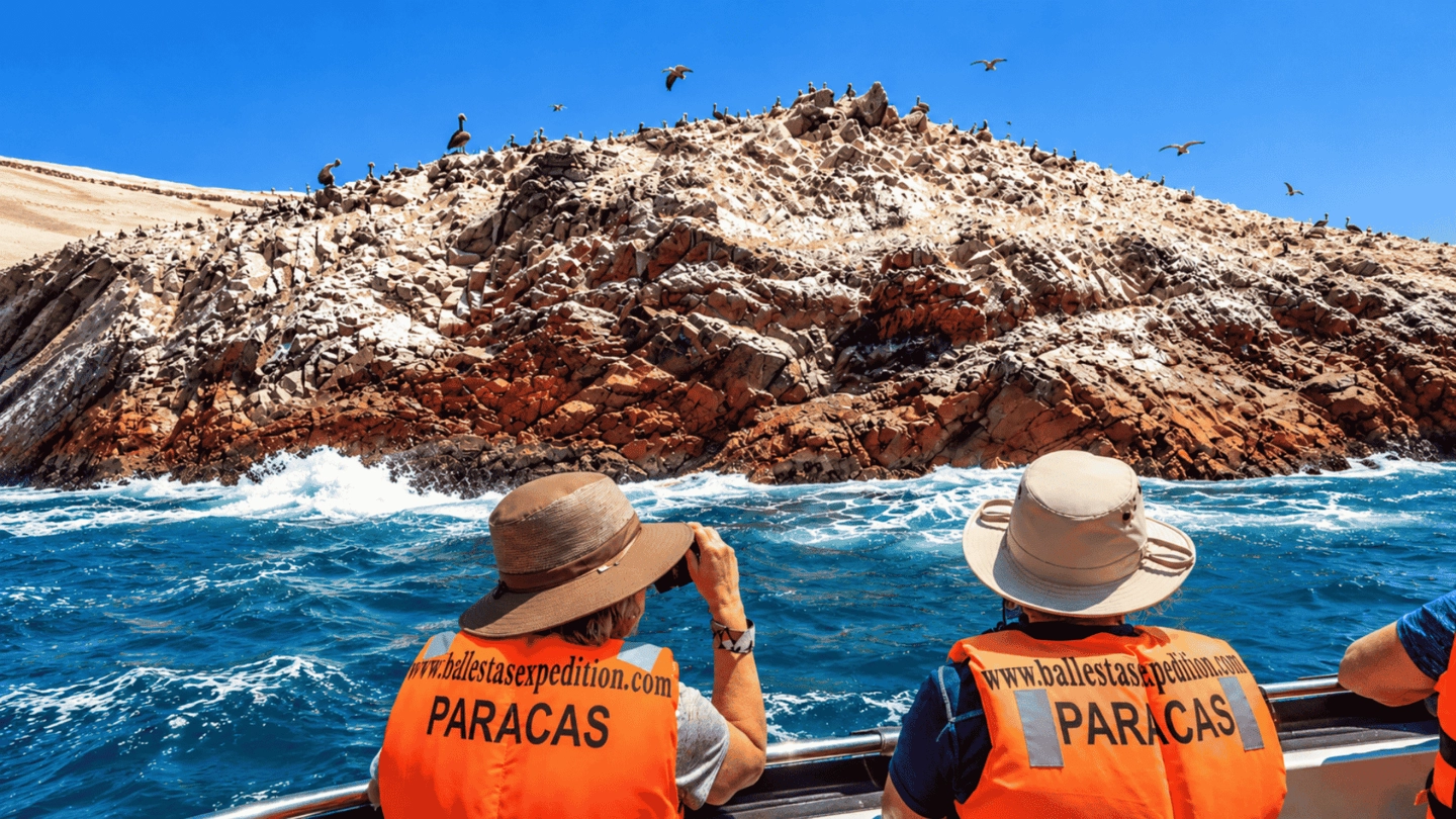 Desde Lima Full day Paracas Ica