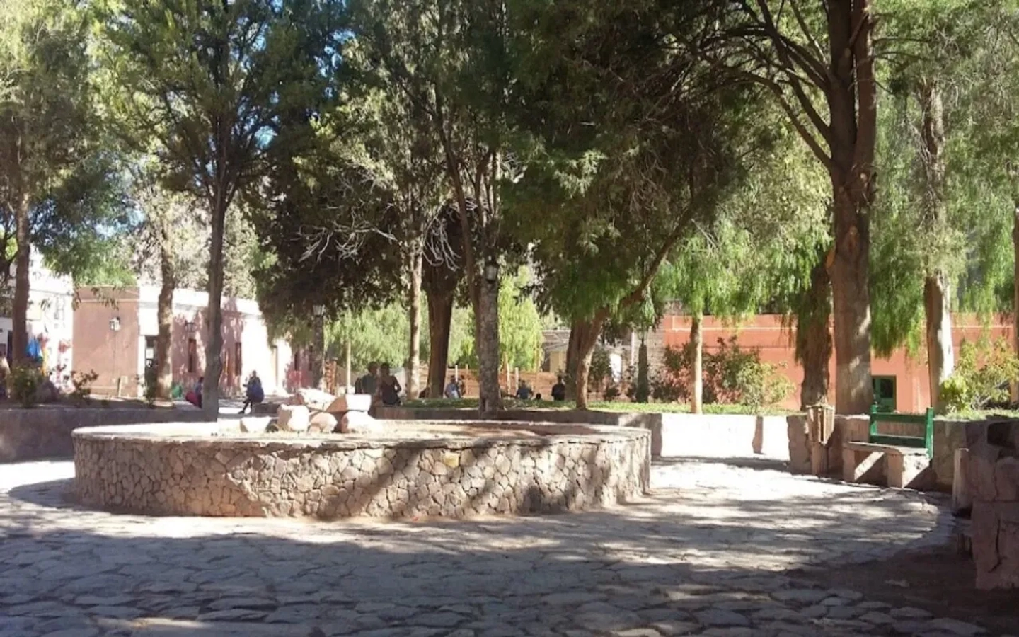 Picture 7