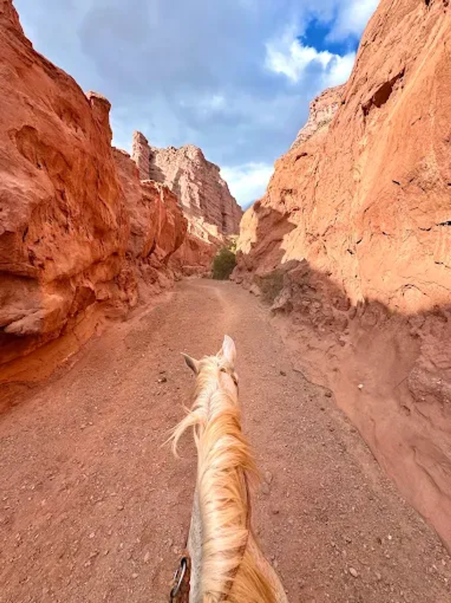 Cabalgata en Cafayate: Los Colorados