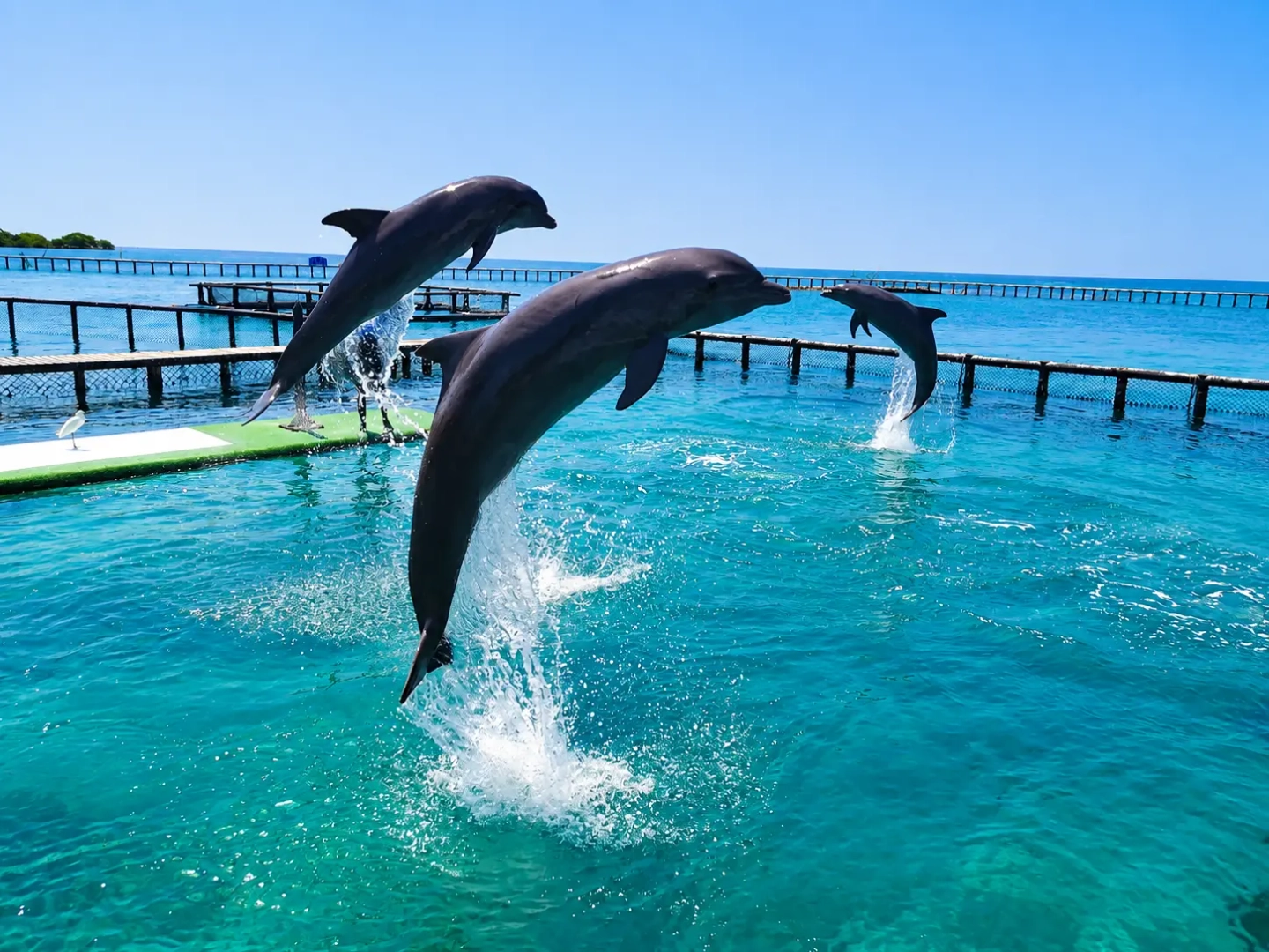 Islas del Rosario, Playa Tranquila, Baru Especial