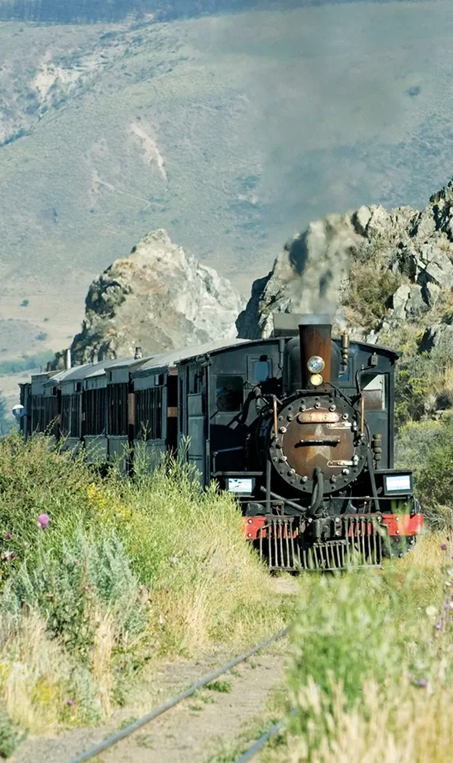 Picture 8