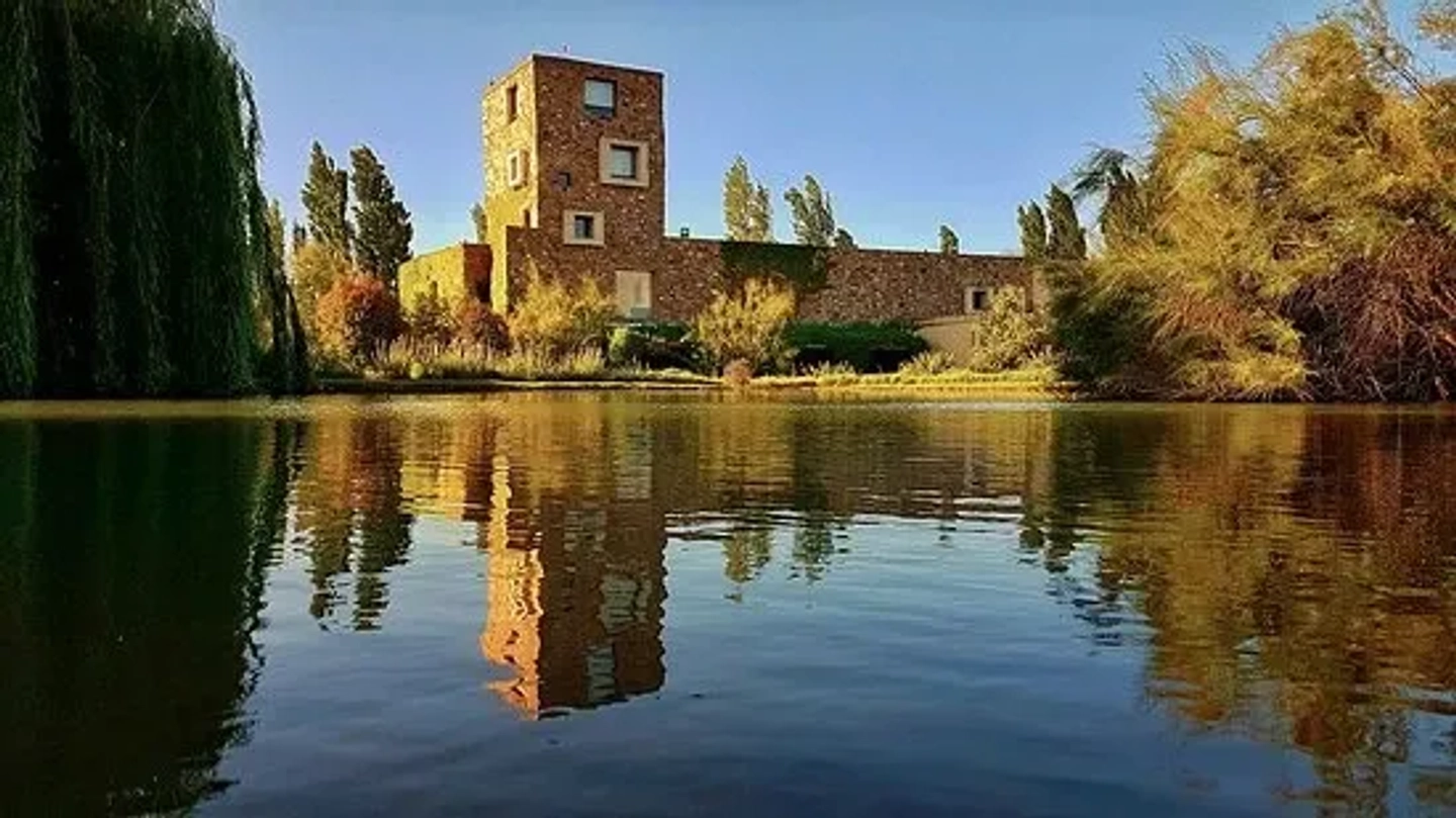 Picture 2