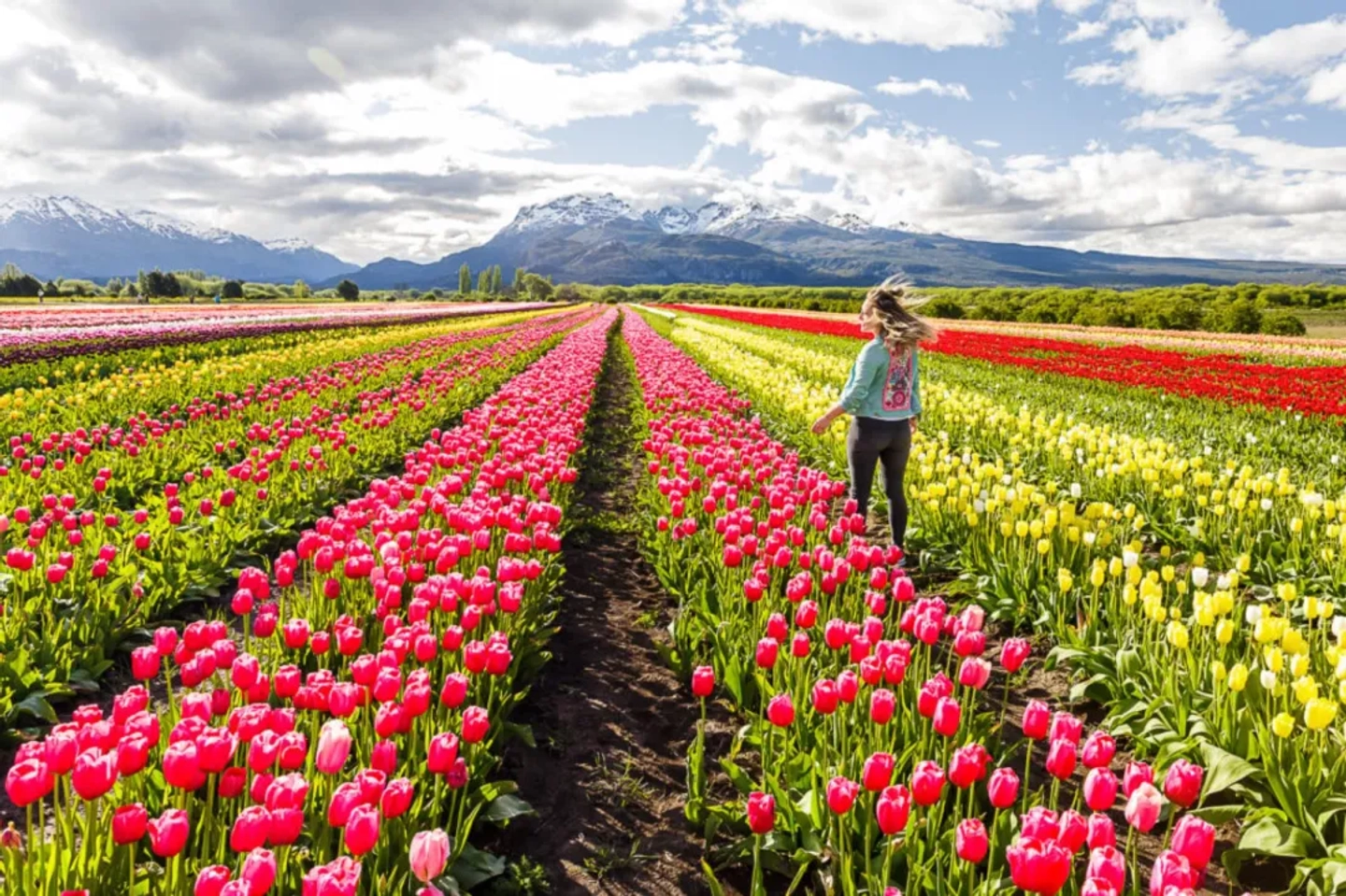 Ruta Galesa con Visita al campo de Tulipanes