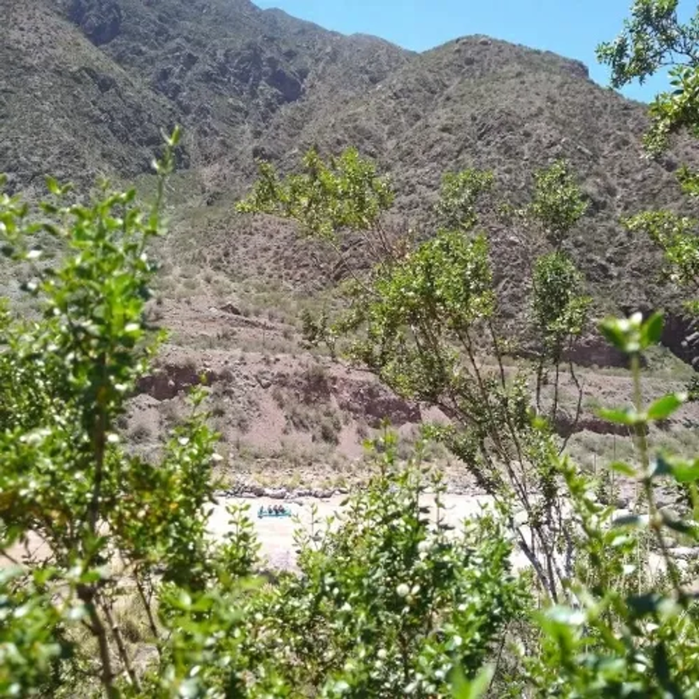 Picture 8