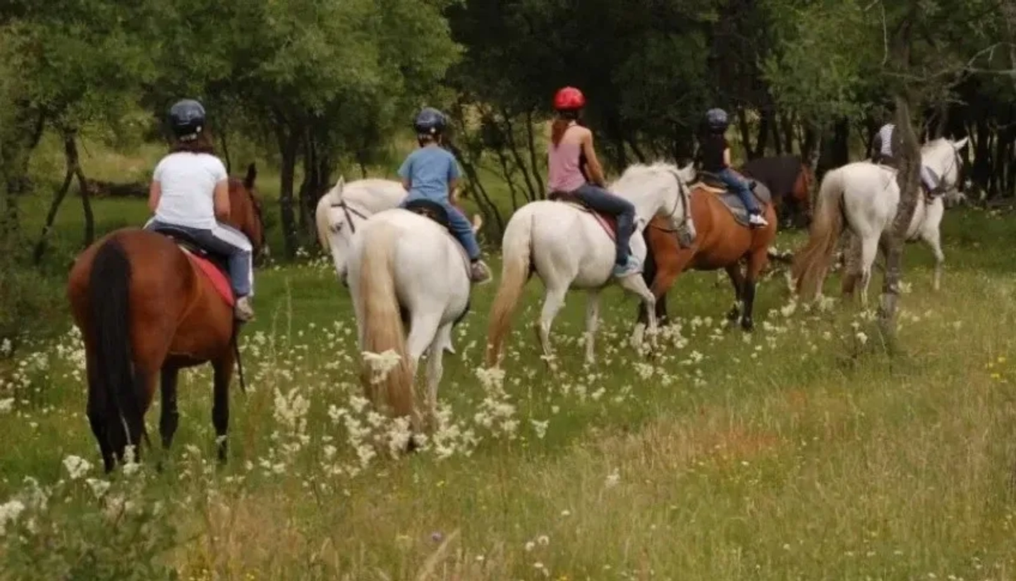 Cabalgata por la Selva en Iguazú de 2 horas