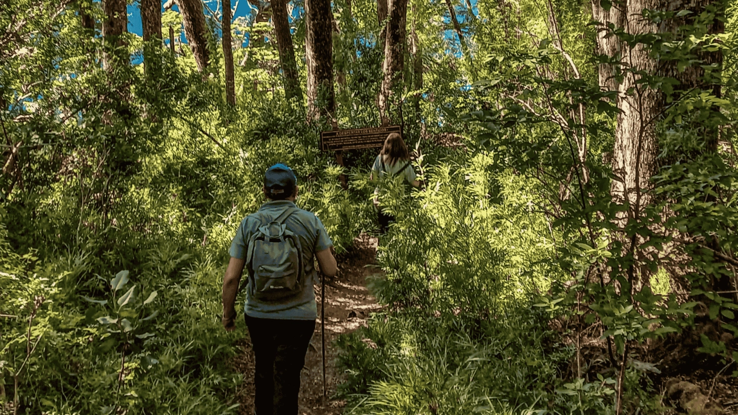 Trekking a Lago y Termas Agrestes de Queñi