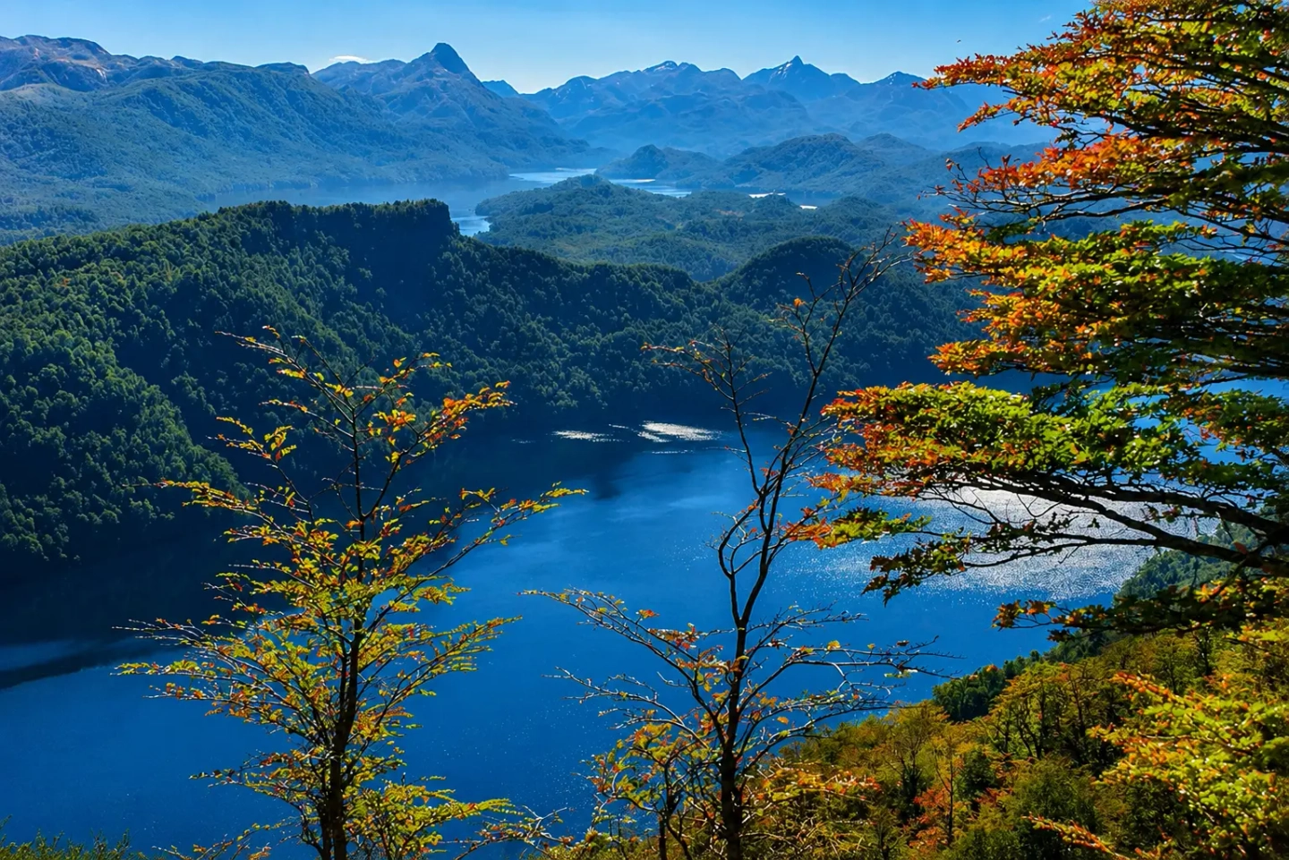 Excursión Siete Lagos, La Angostura y Bariloche