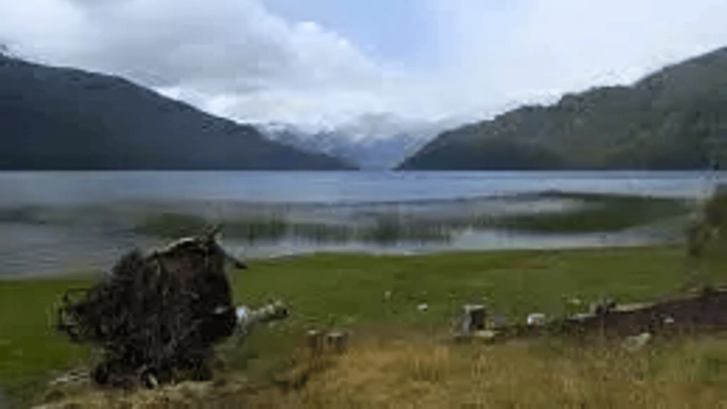 Picture 3