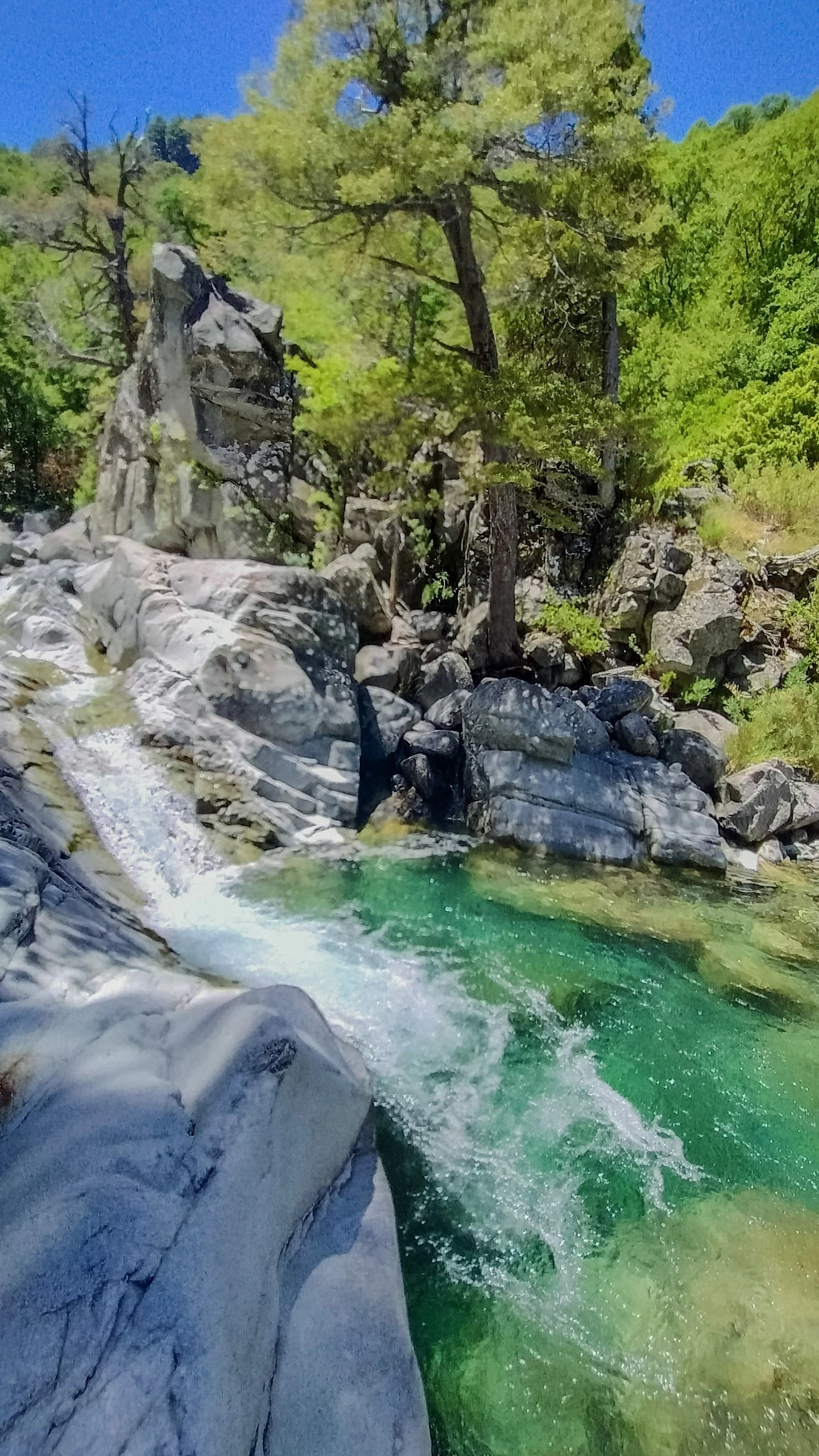 Trekking y Pernocte: Aventúrate en los Pozones del Sendero Coigües en Parque Tricahue