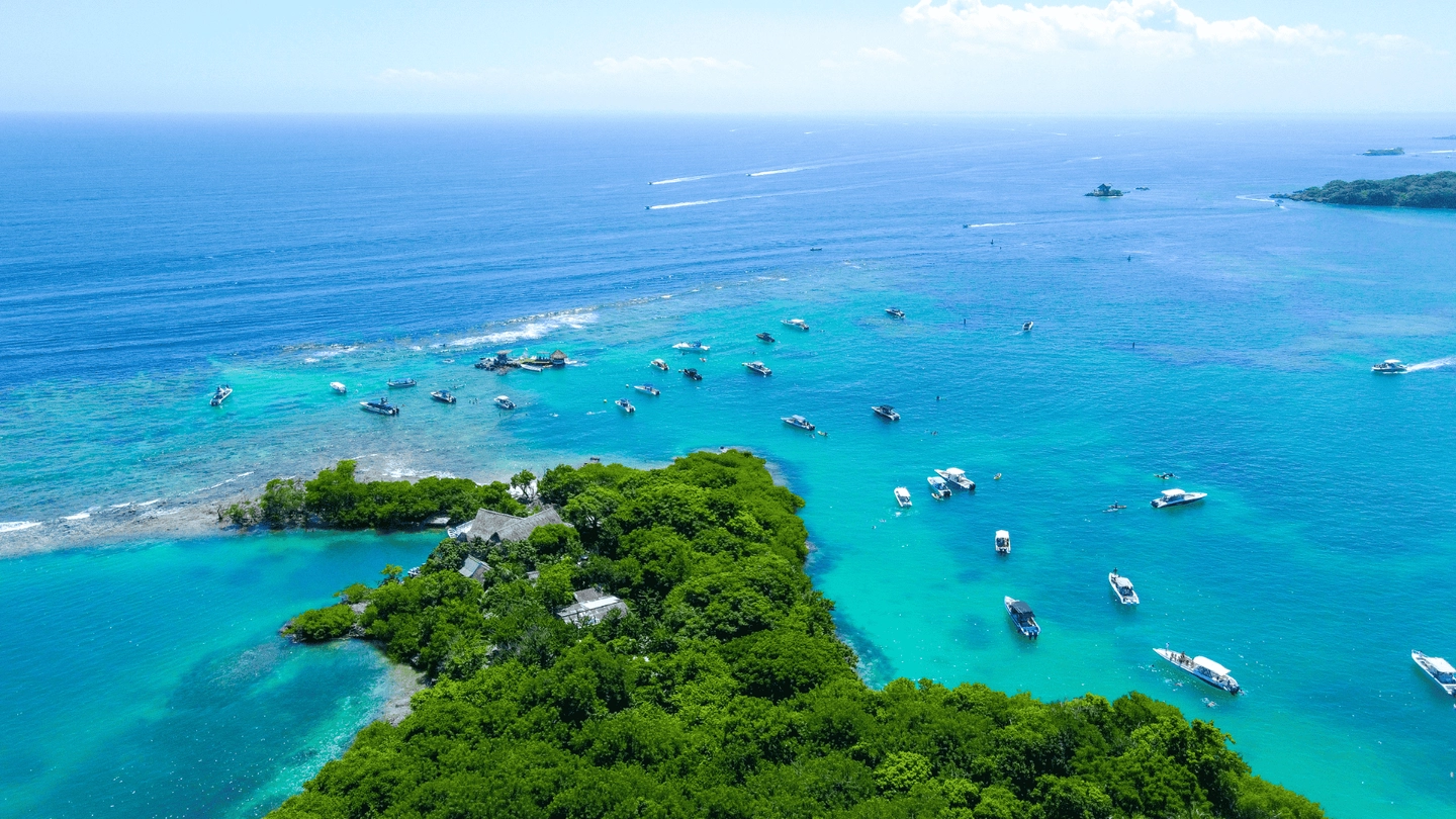 Cholon Forever
