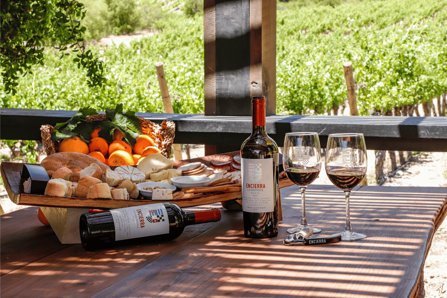 Experiencia Viña Encierra: Recorrido y Degustación de Vinos Premium