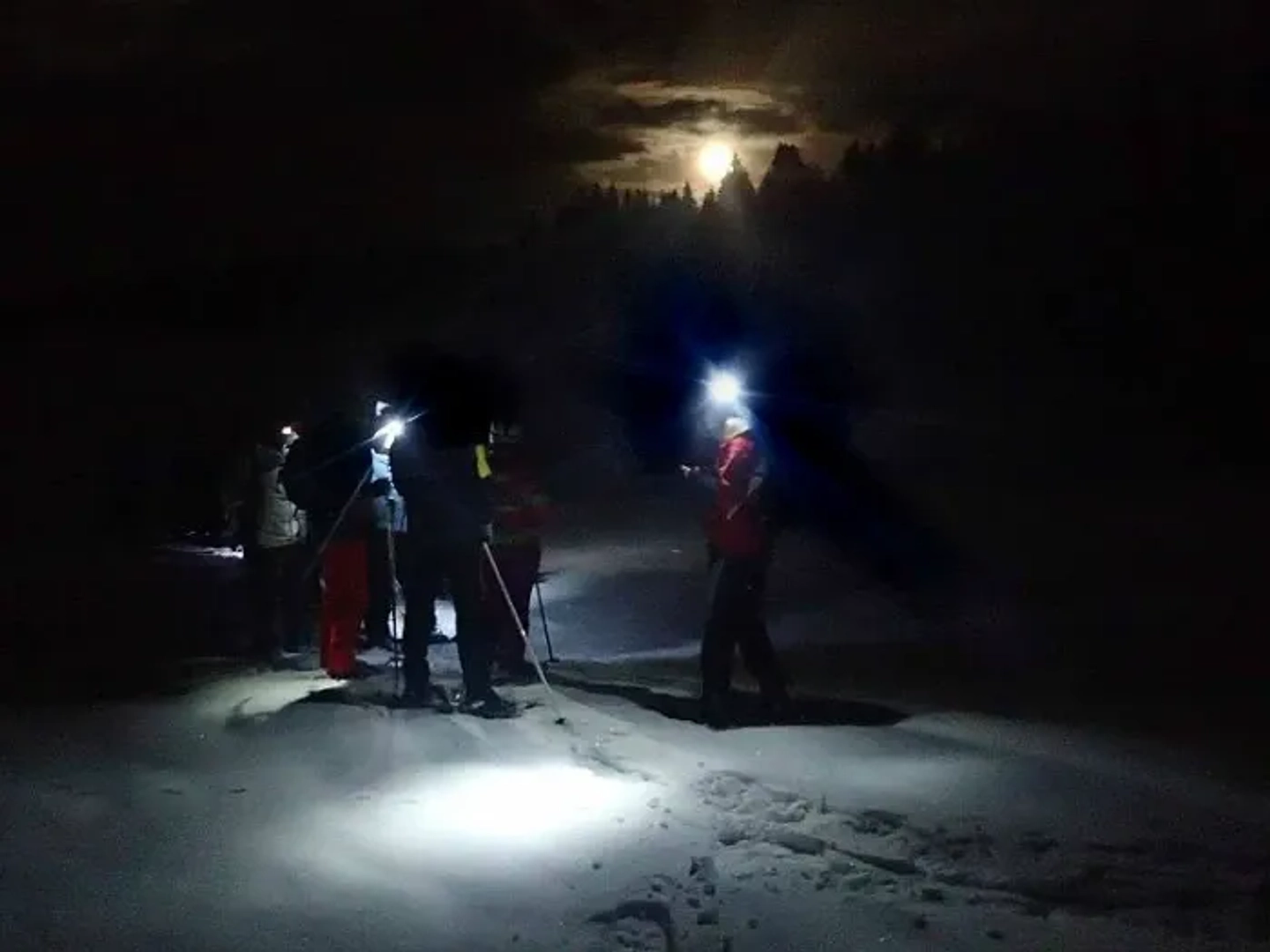 Raquetas y Moto de Nieve con Cena en Chapelco