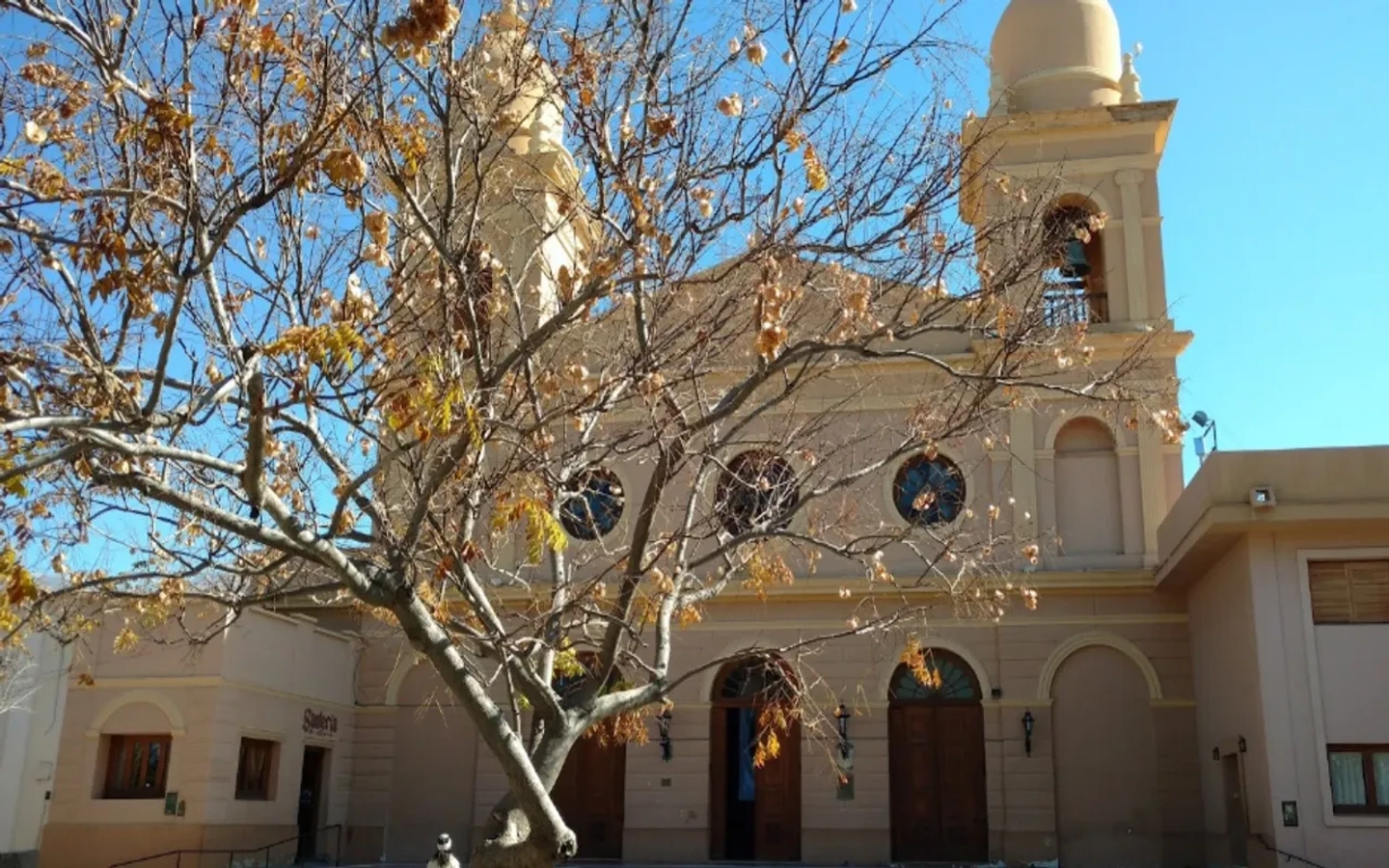 Picture 8