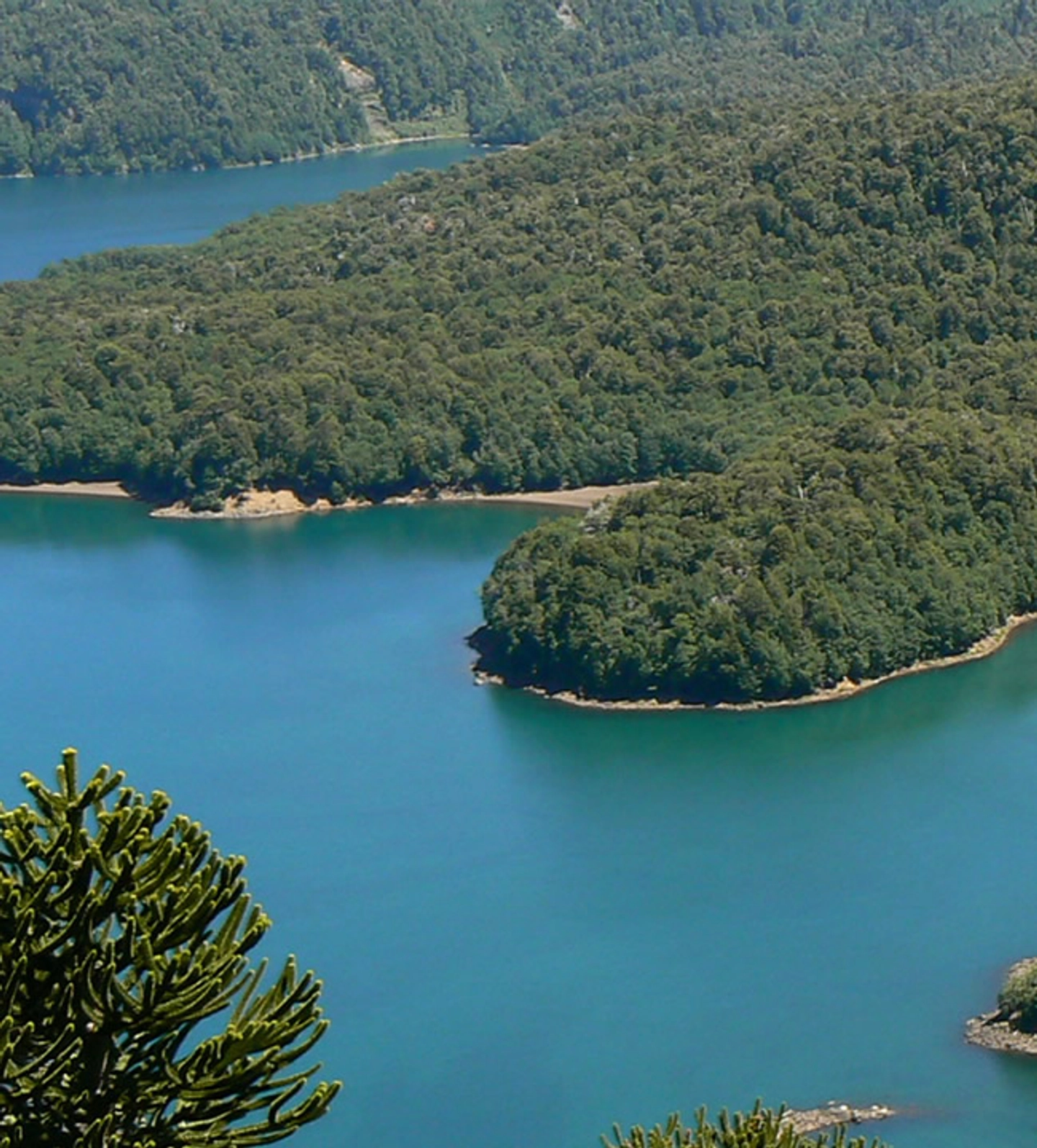 PARQUE NACIONAL CONGUILLÍO