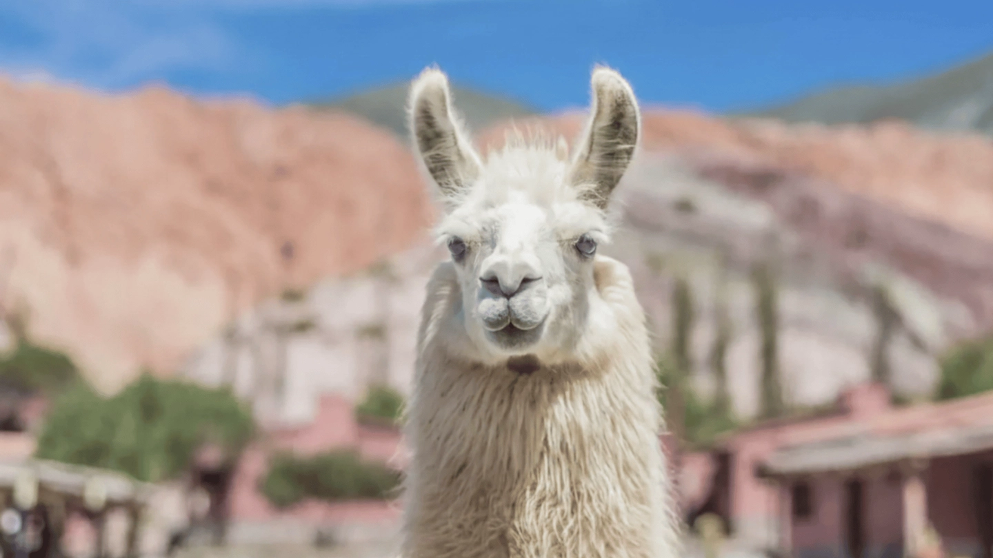 Valles Calchaquíes: Aventura de 2 Días desde Salta